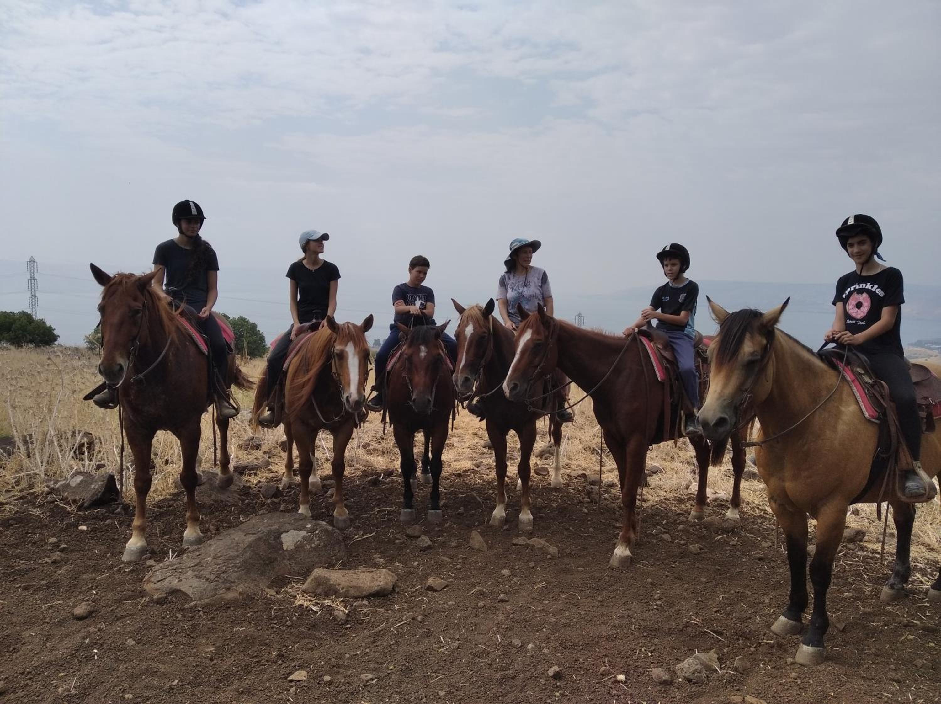 מול הכנרת Over looking the Sea of Galilee