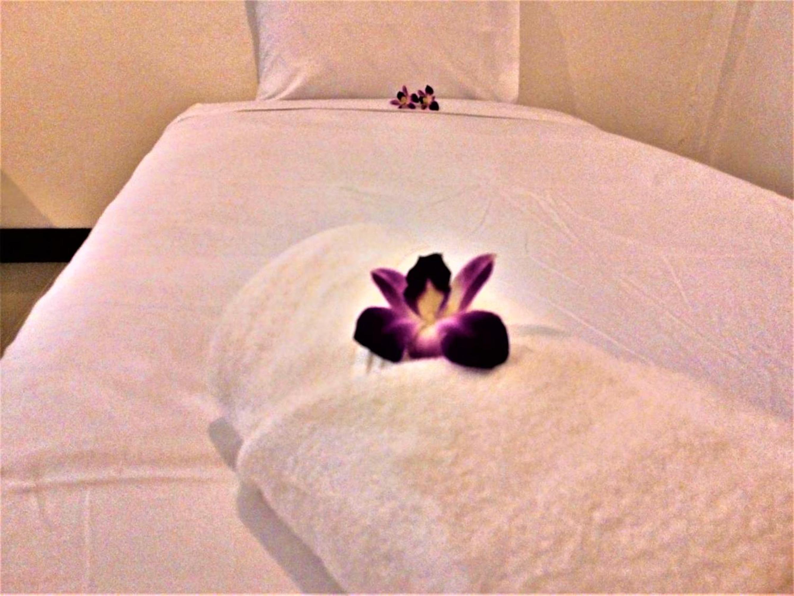 Natai House Resort นาใต้เฮ้าส์ รีสอร์ท