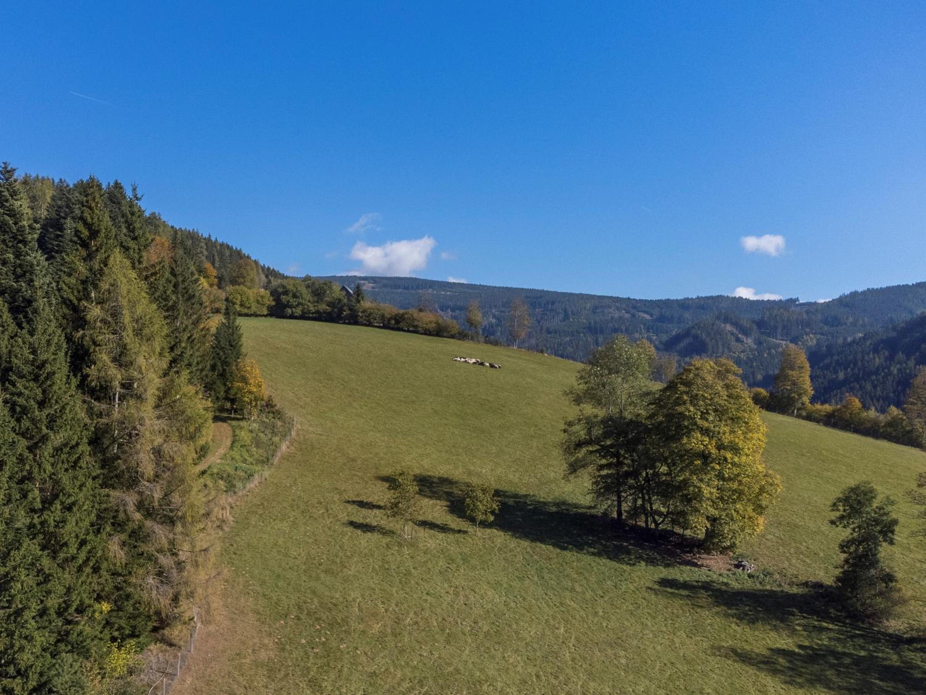 Charmante Gästewohnung in altem Bauernhaus in alpiner Alleinlage