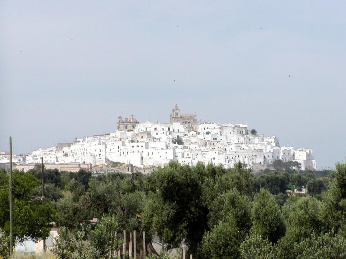 Photo 24