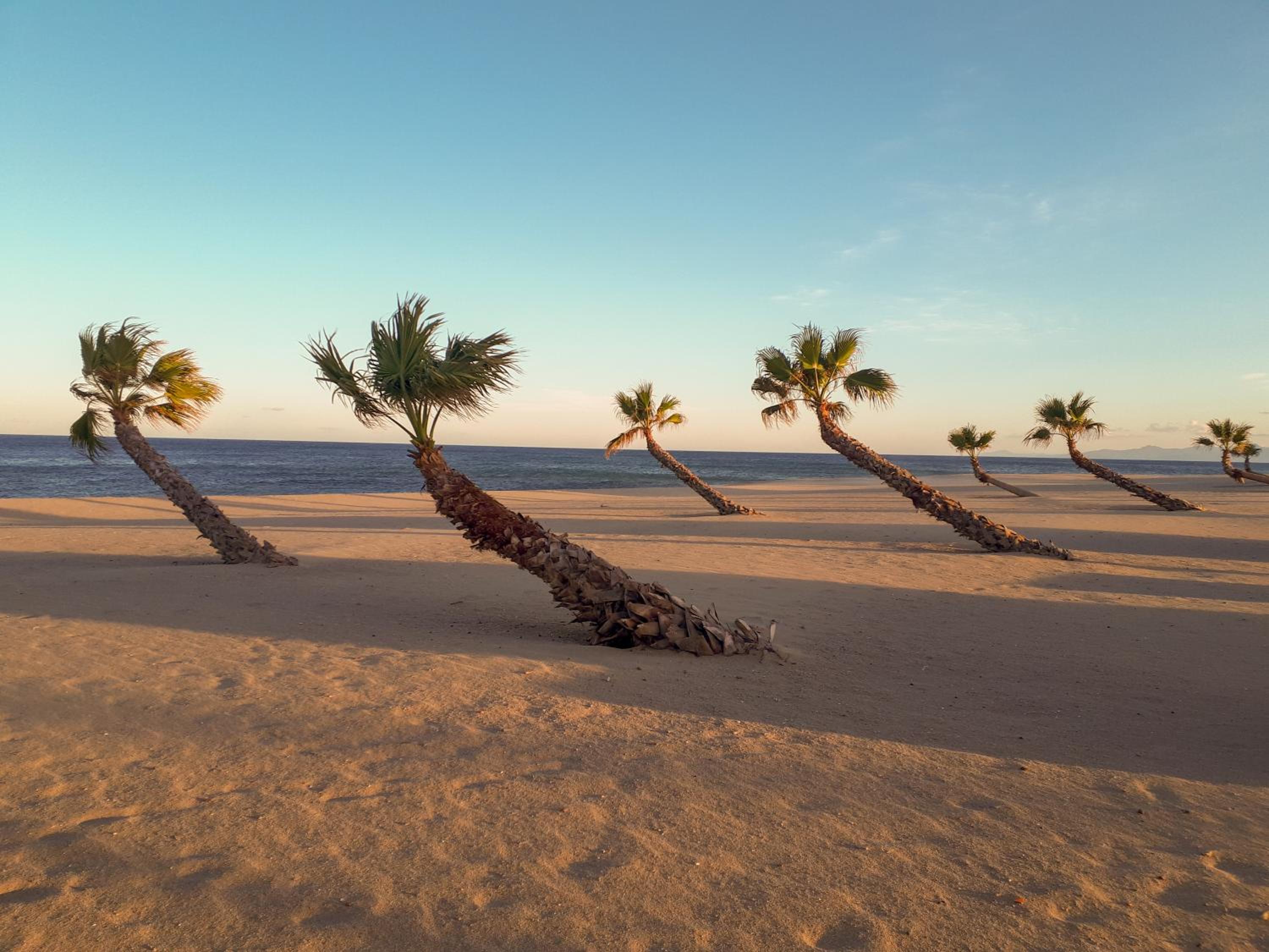 Superbe vue mer avec accès direct plage et parking