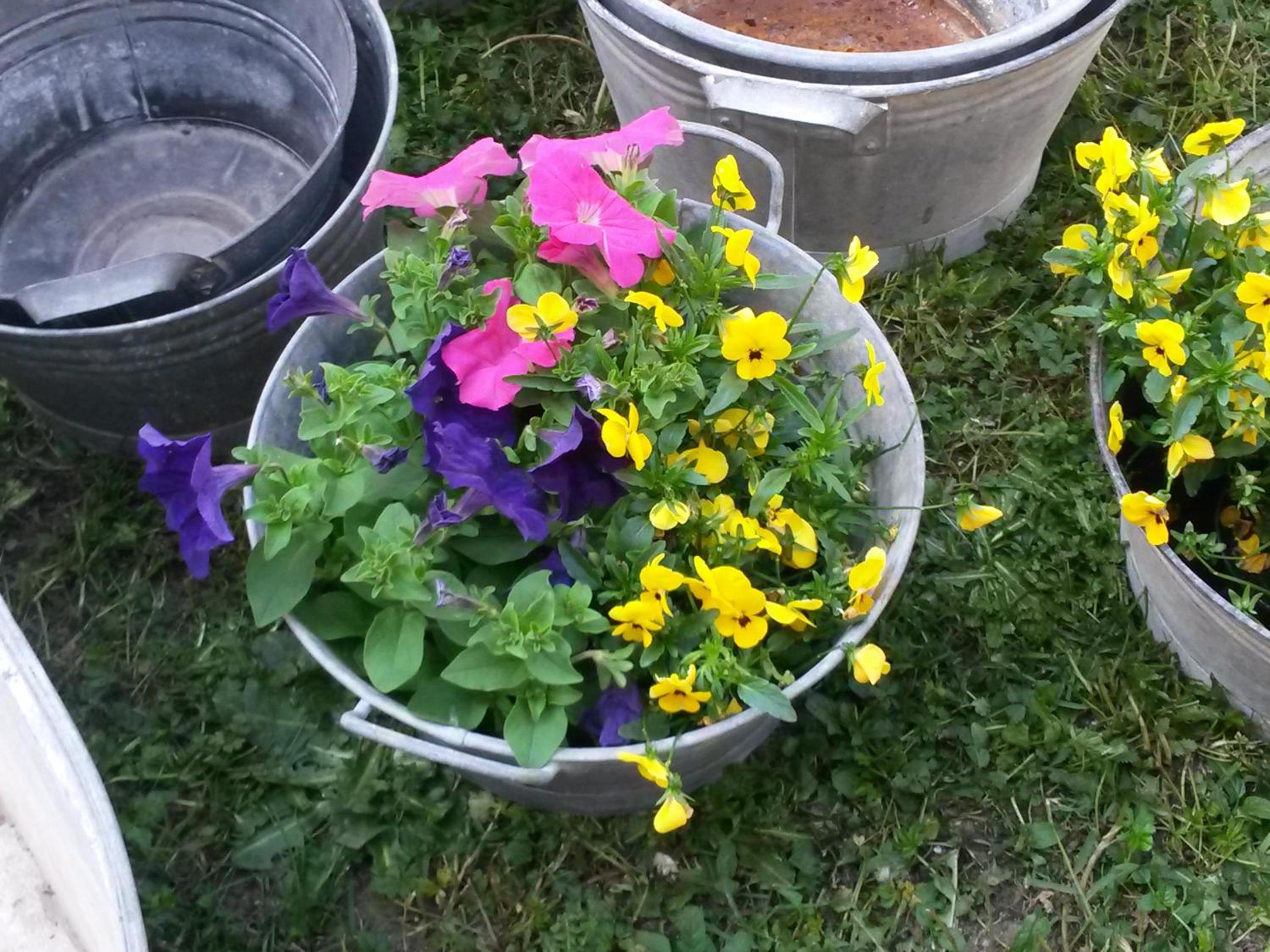Photo 21