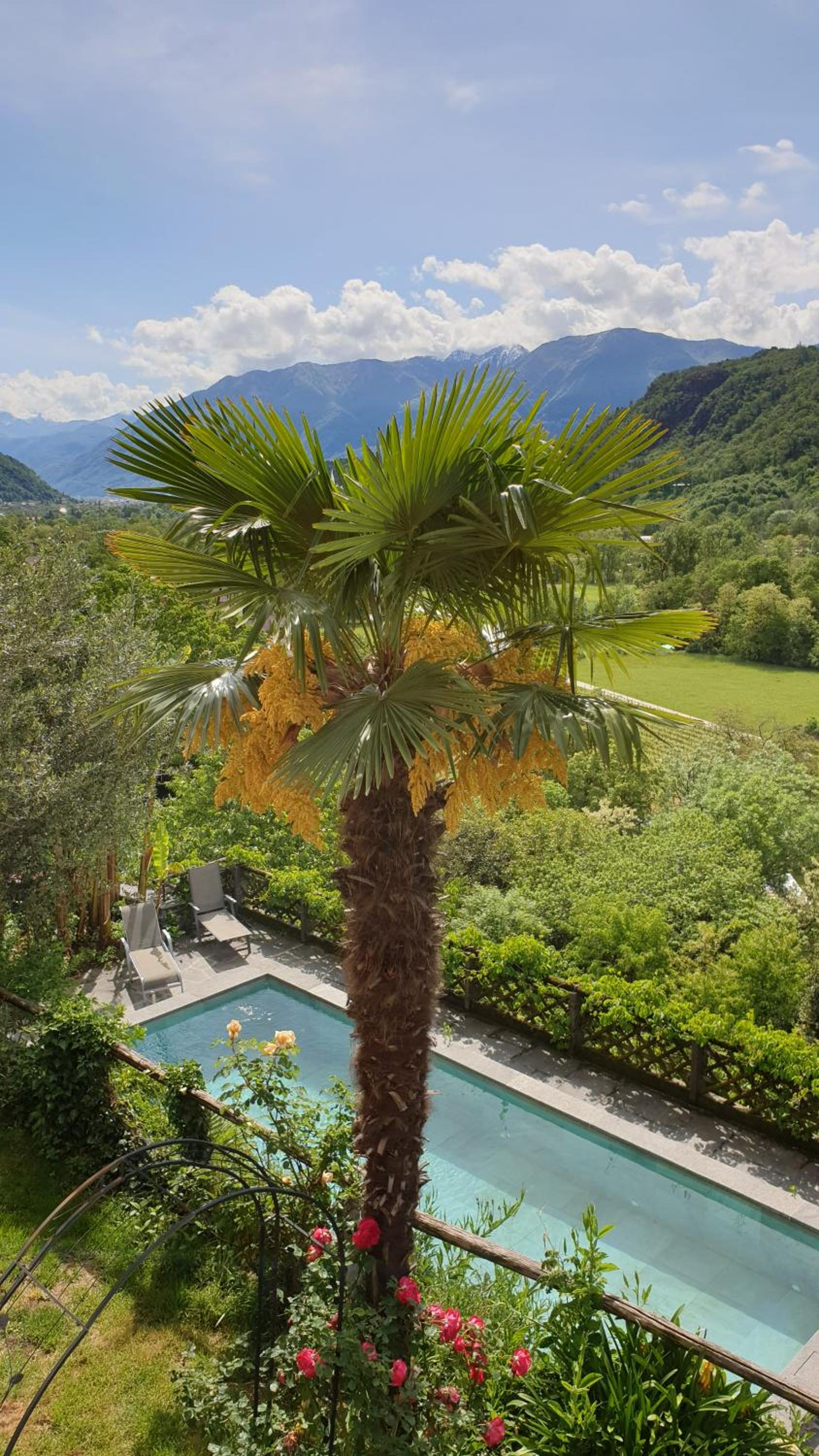 Casa Aries & Studio Aurora - mit Pool, in Cavigliano nur 8 km von Ascona und Locarno entfernt