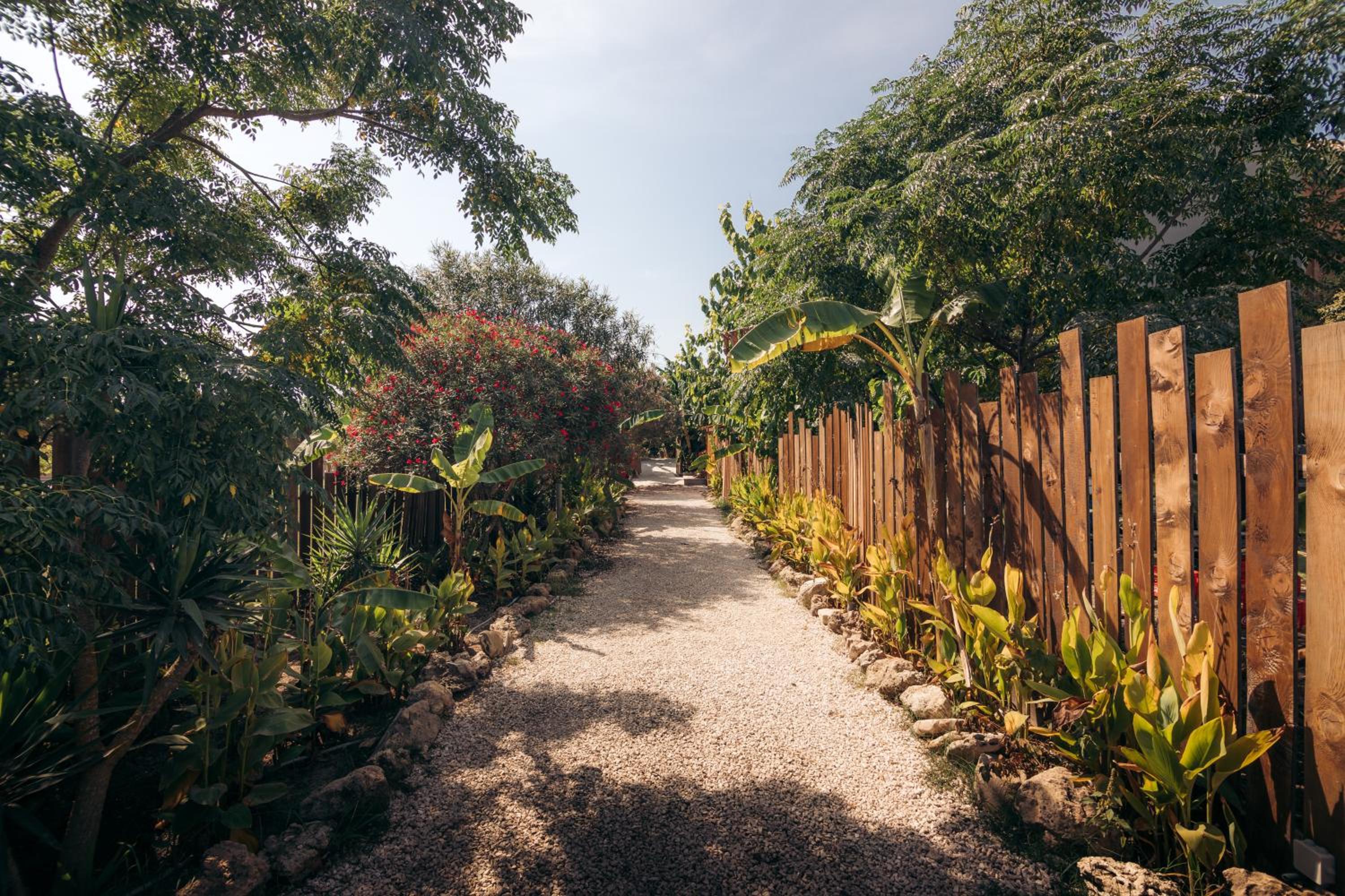 garden