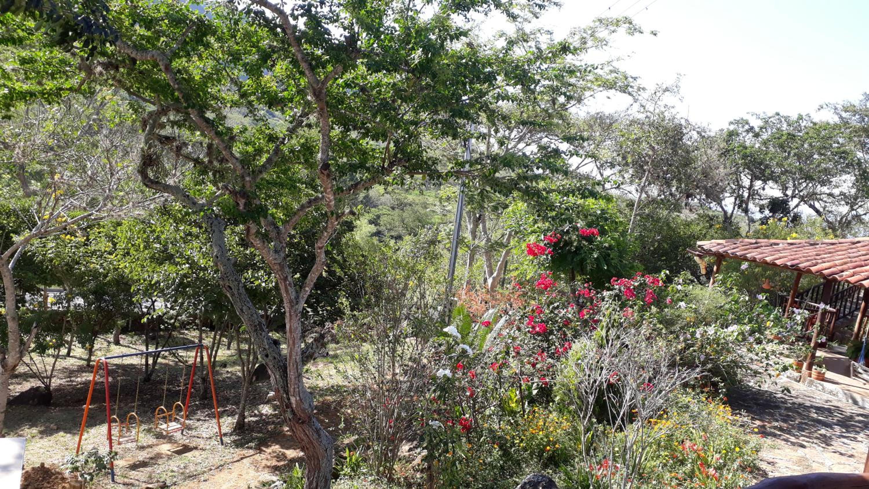 Photo 7