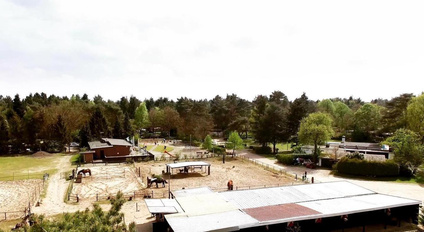 Photo 33