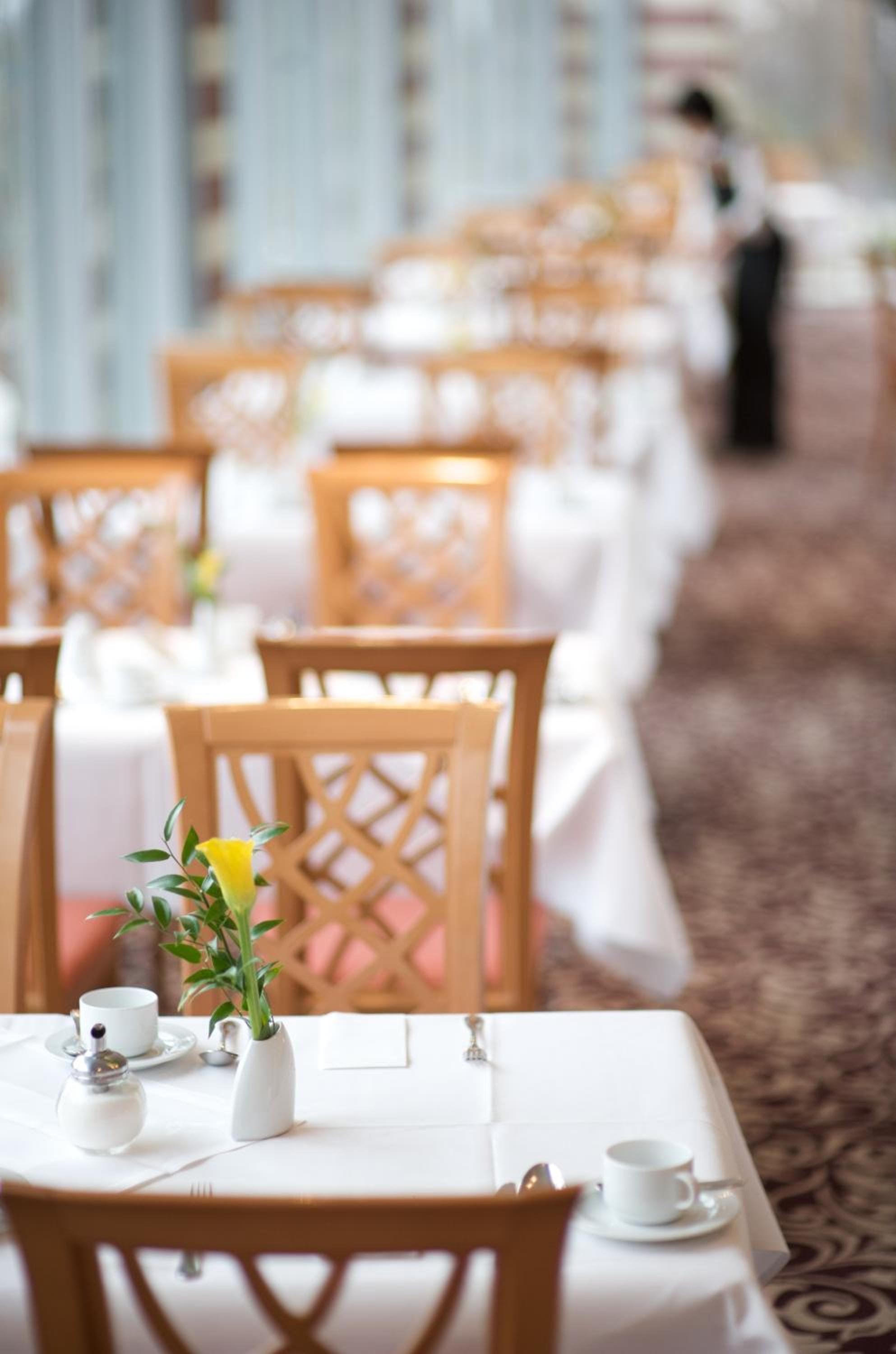 Dresden Vacations - Ramada by Wyndham Dresden - Property Image 61