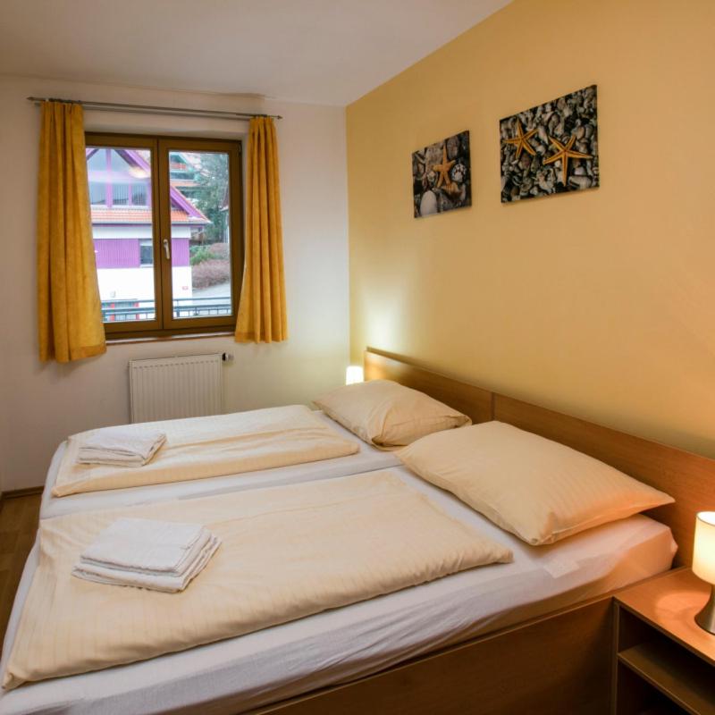 Apartment Riviera 507-5b Lipno Home view 5