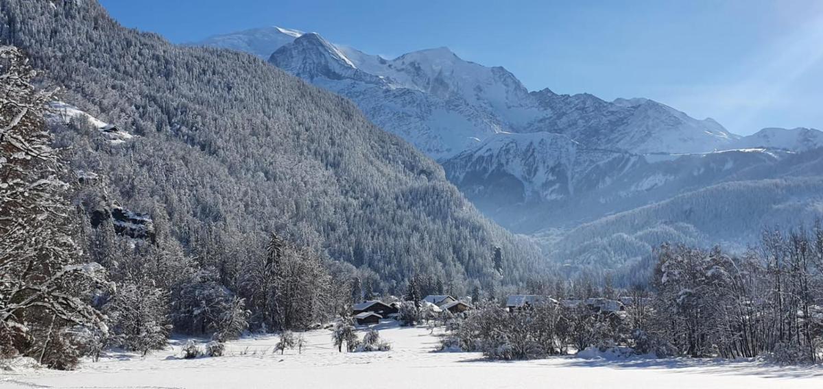 Magnifique chalet dans la vallée de Chamonix view 3