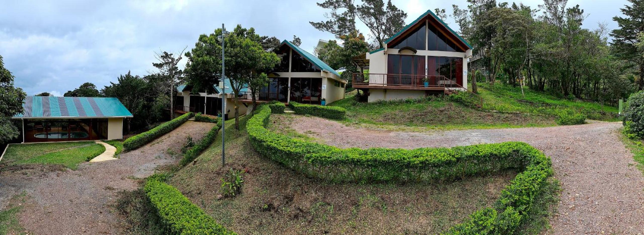 Green Forest Rustic Houses
