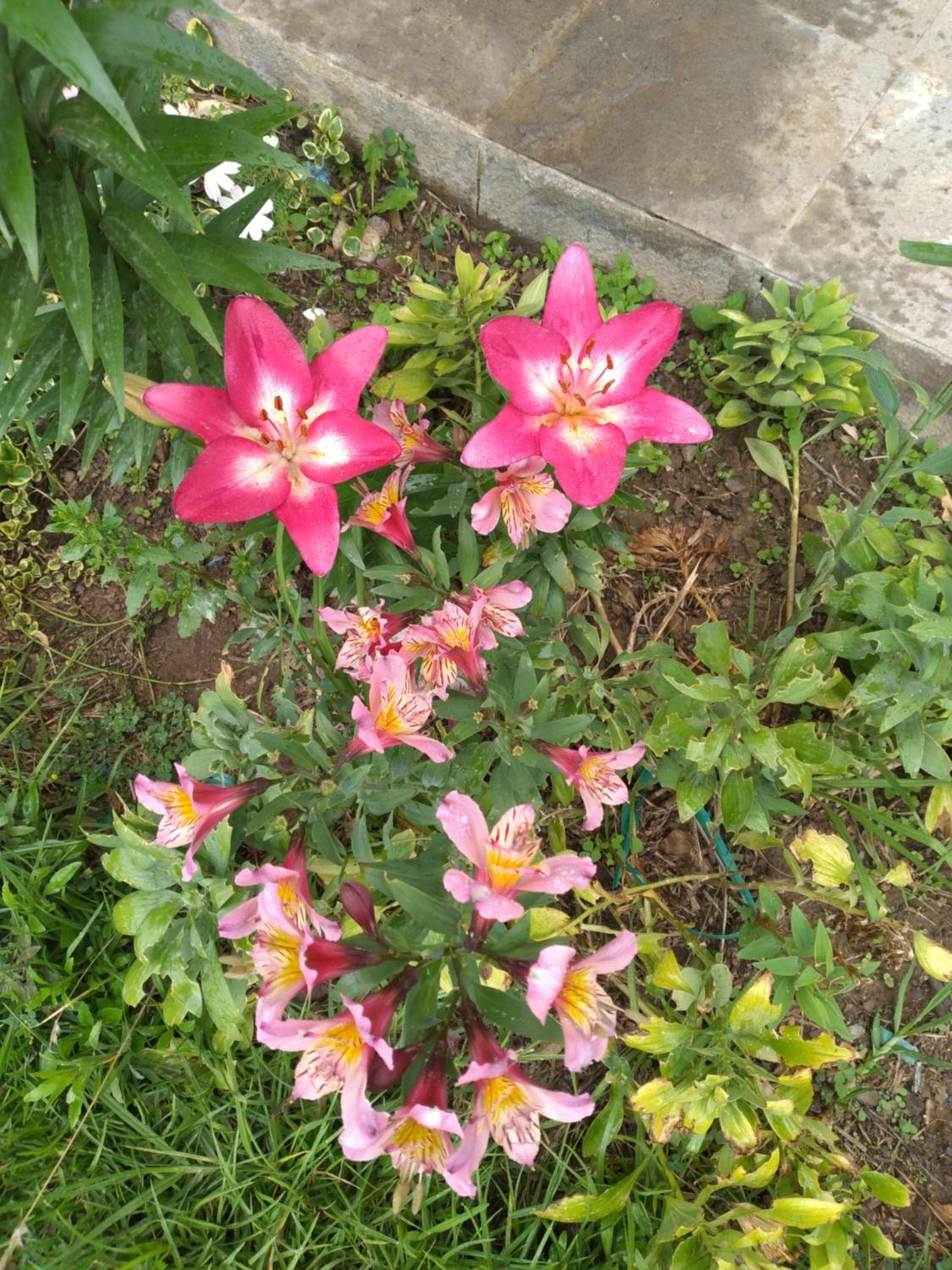 Photo 28