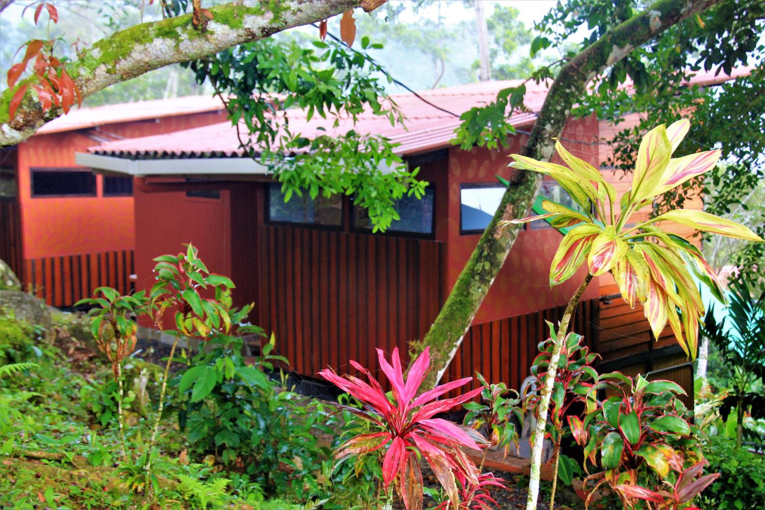 Hotel Casitas Eco Bambú - Image 1