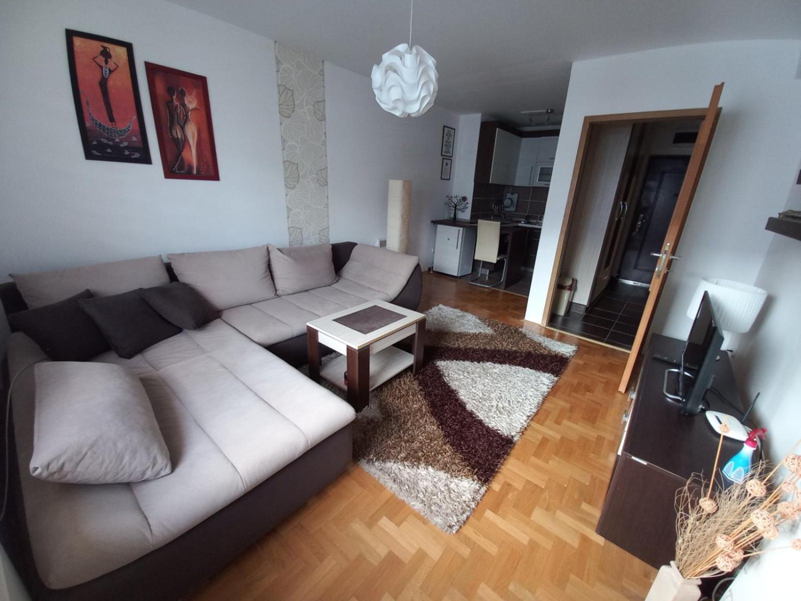 Apartman Pivasevic view 5
