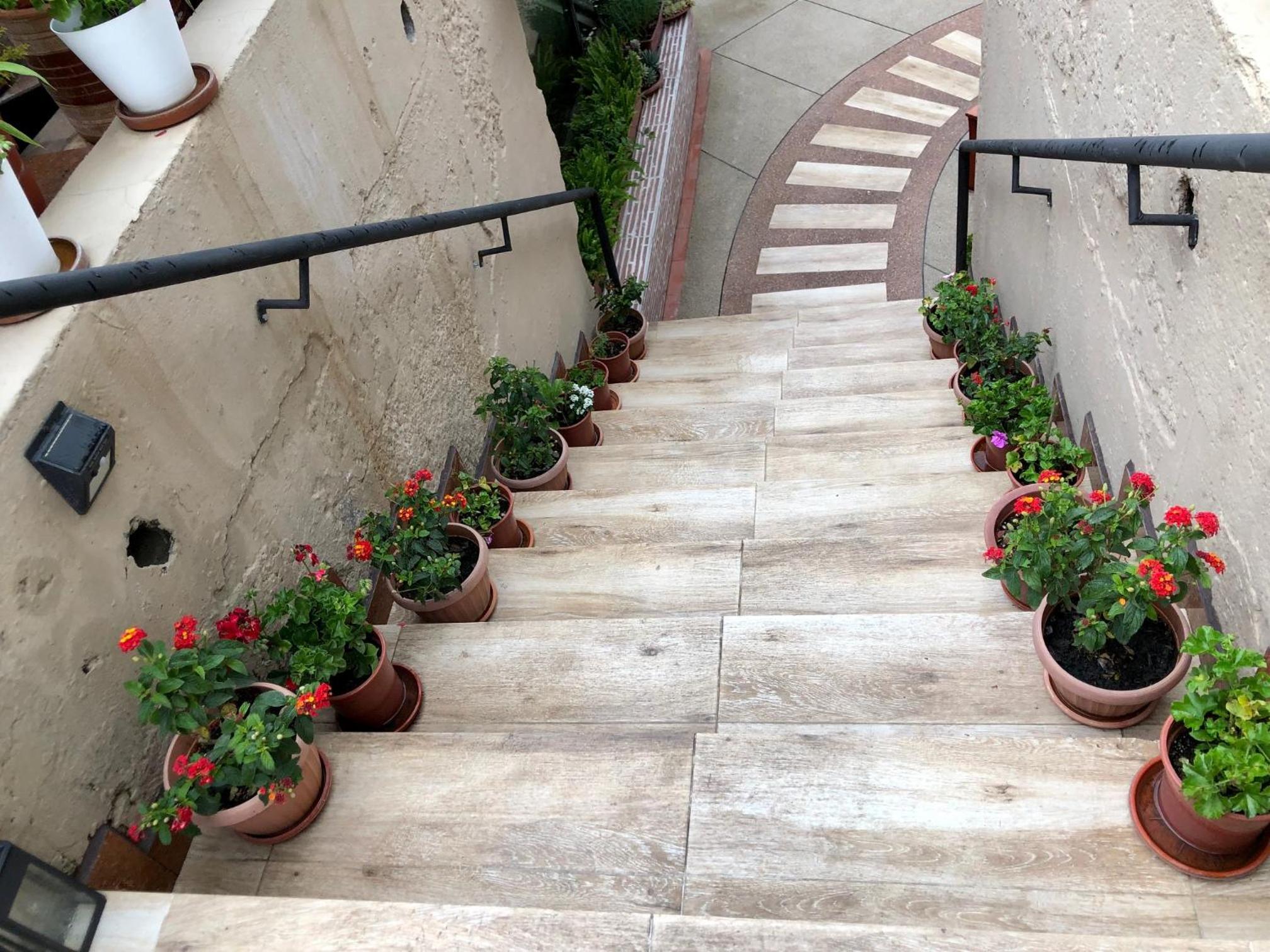 Quito Terrace