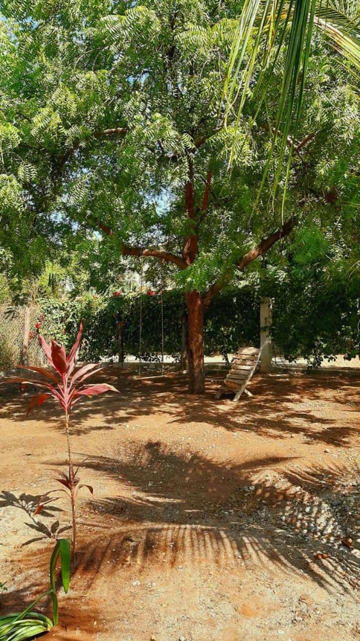 Bugambilias Alojamiento view 3