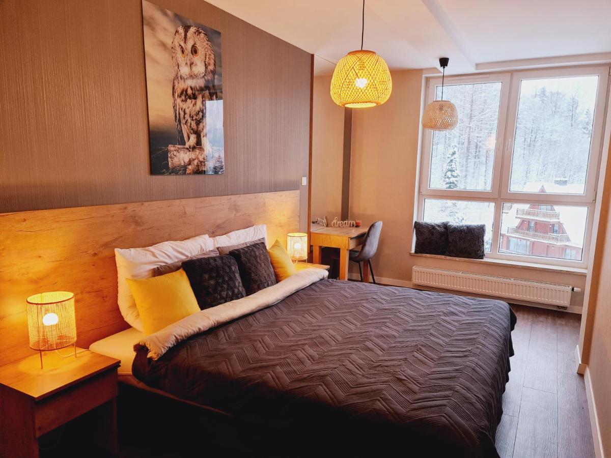 Apartament SPA 40 Resort Kozubnik blisko Szczyrk - 5D Apartamenty view 4