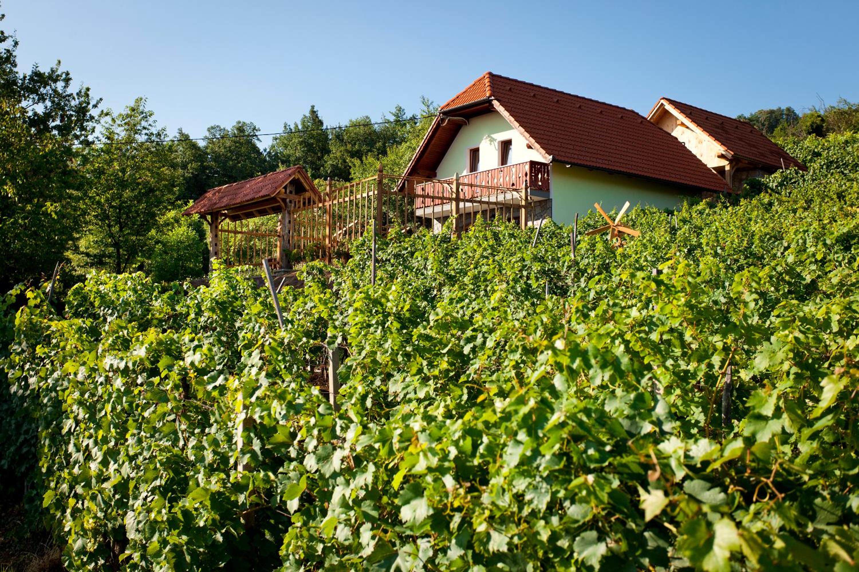 Vineyard Cottage Lustek view 5