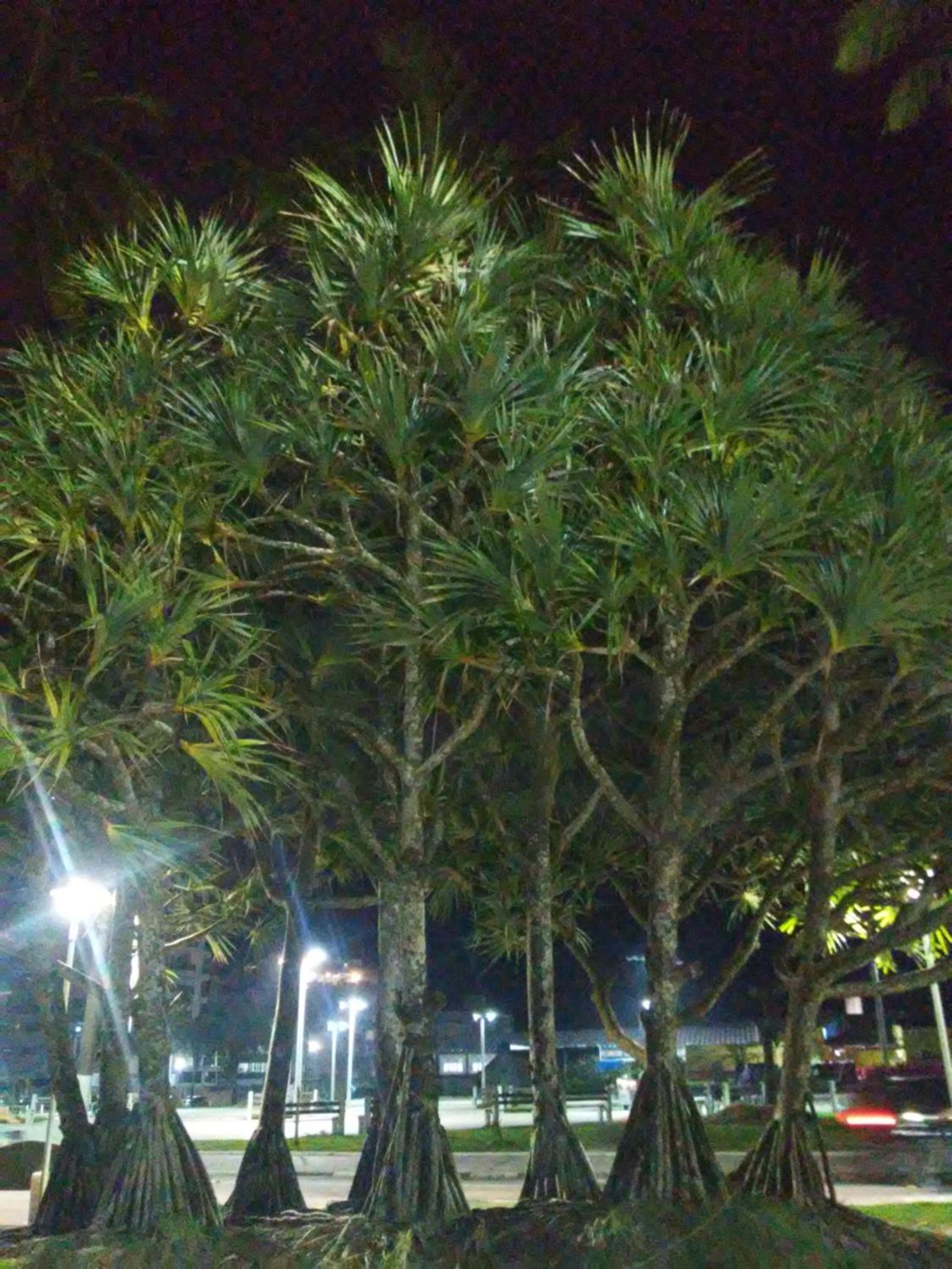 Photo 47