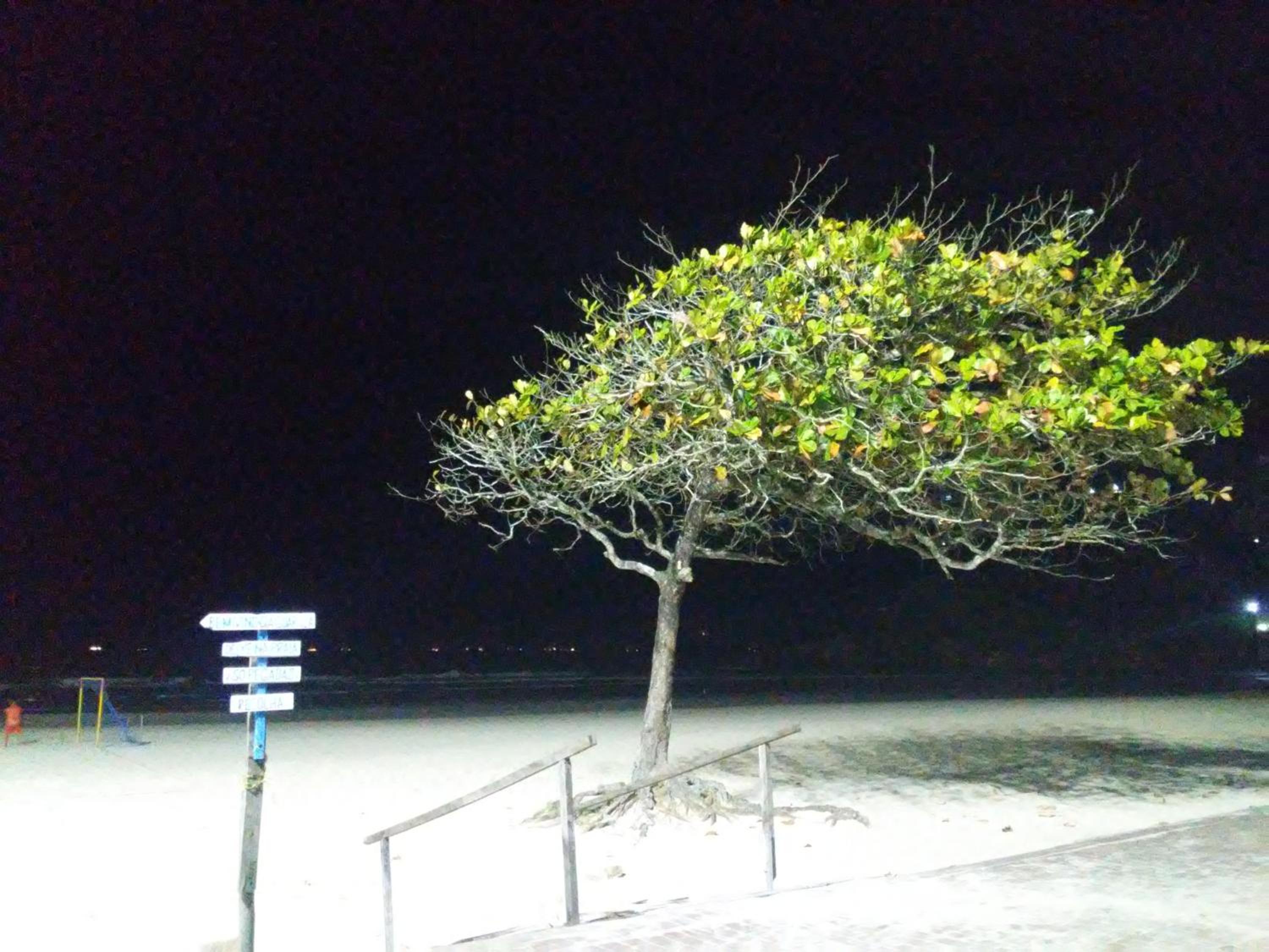 Photo 49
