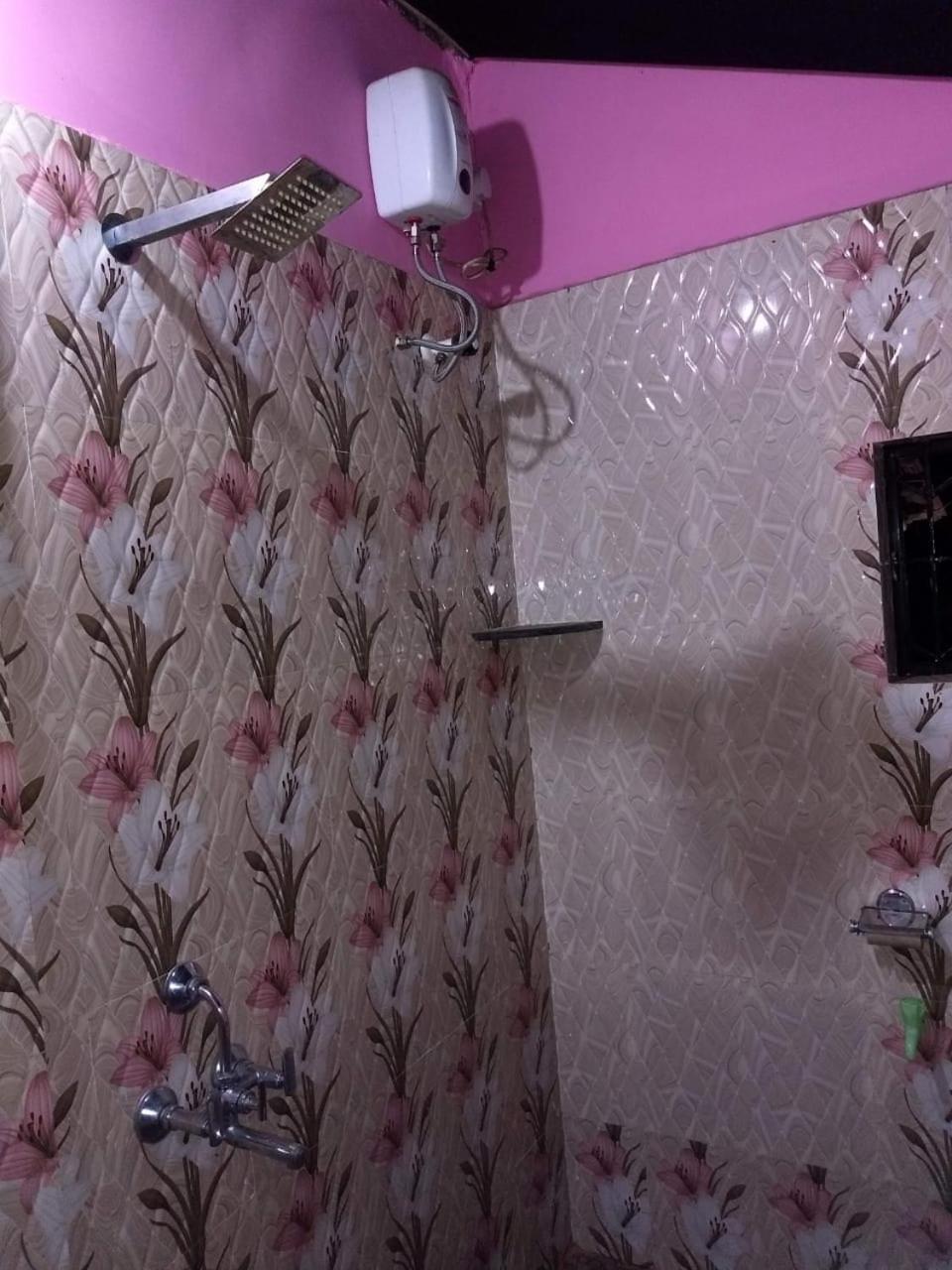 Agonda pink house