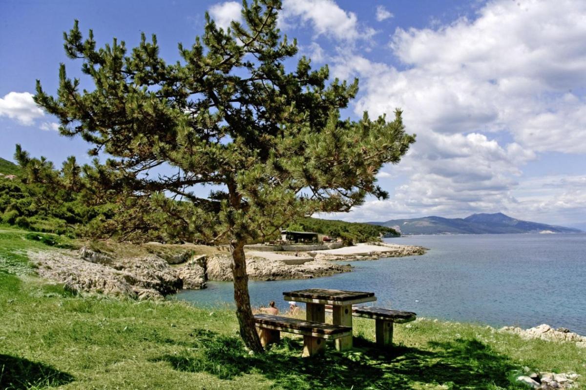 Snašić in Ravni * Istrien view 5