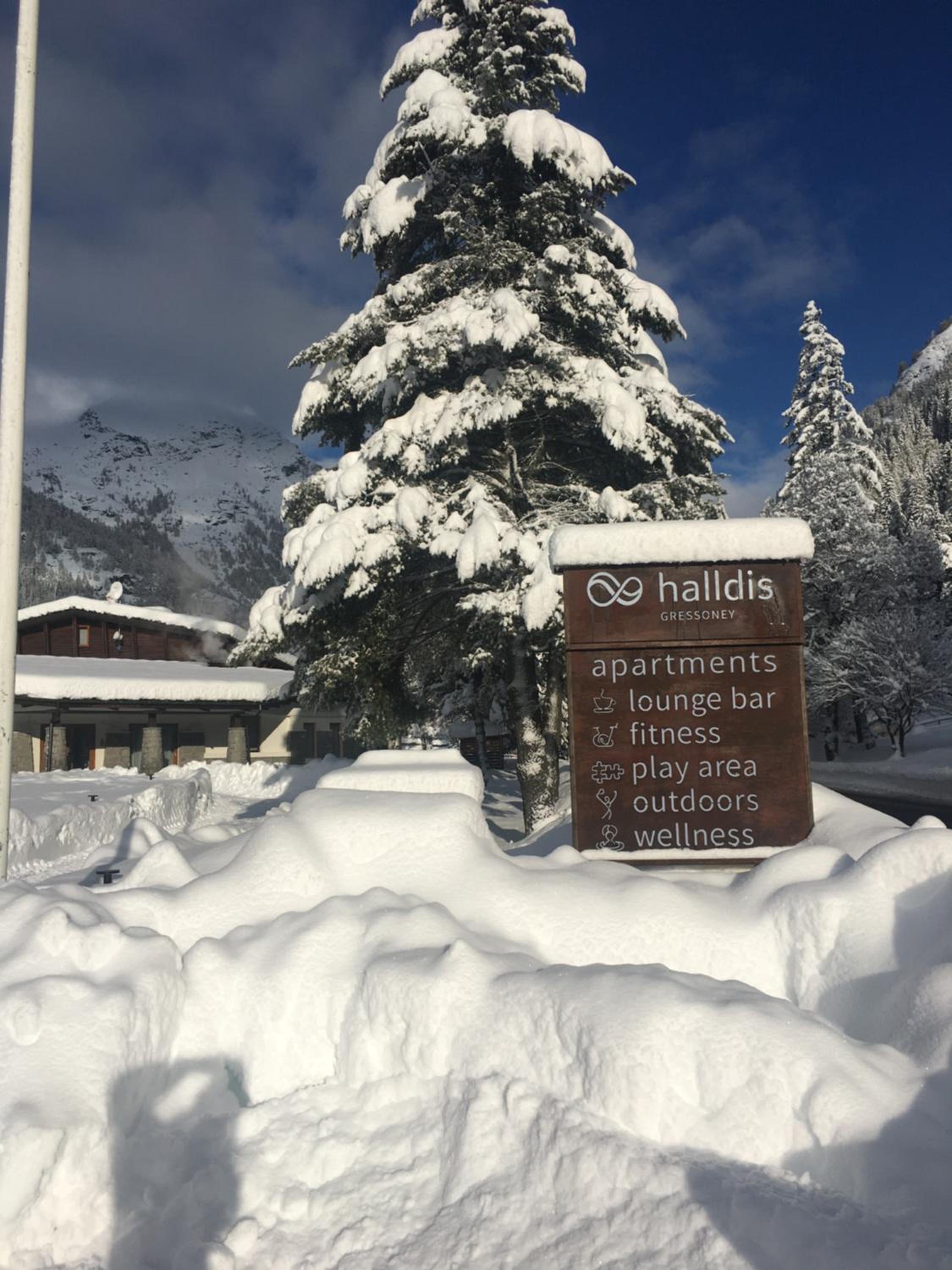 Gressoney Saint-Jean apartments by Halldis view 3