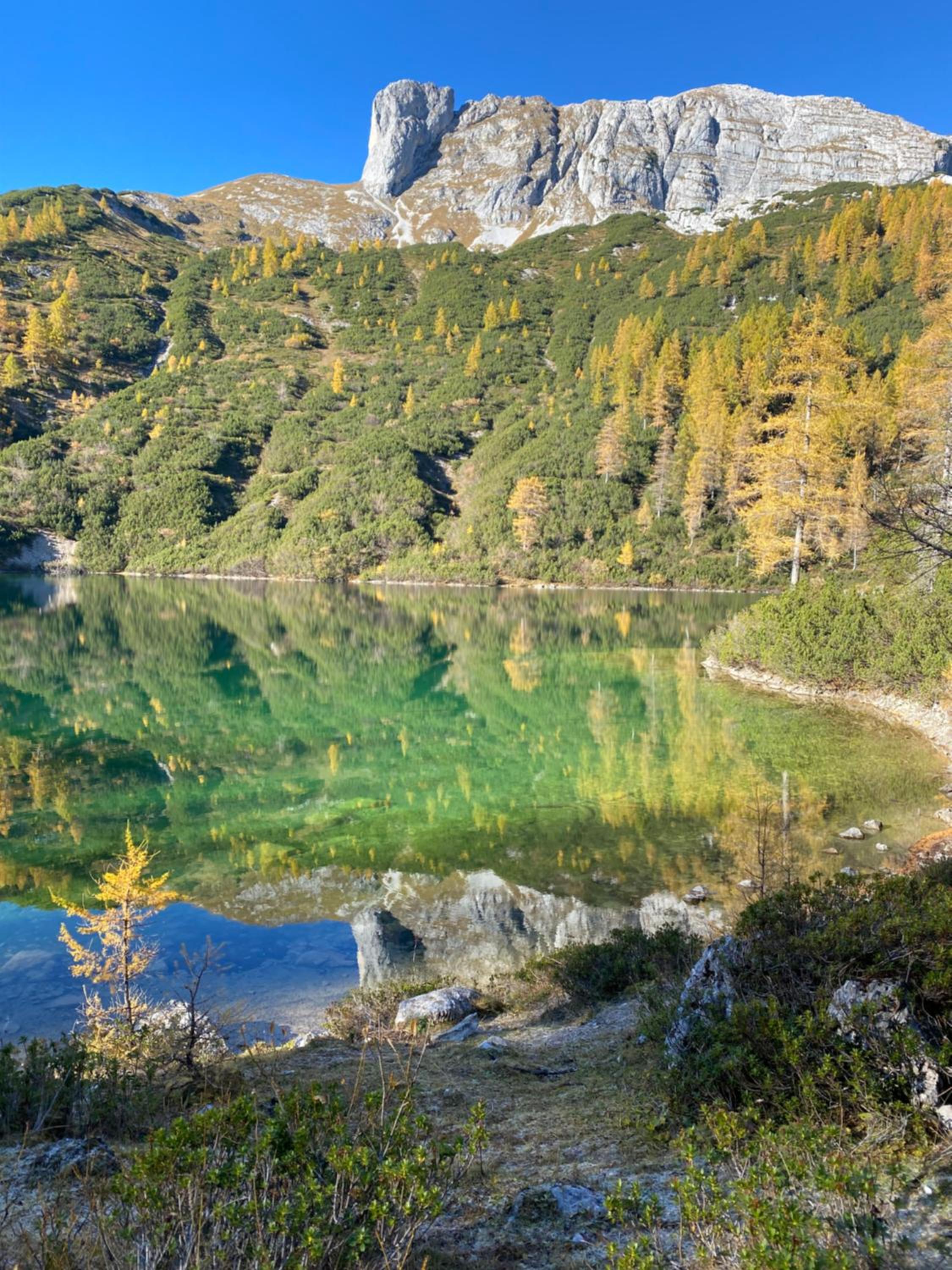 Photo 28