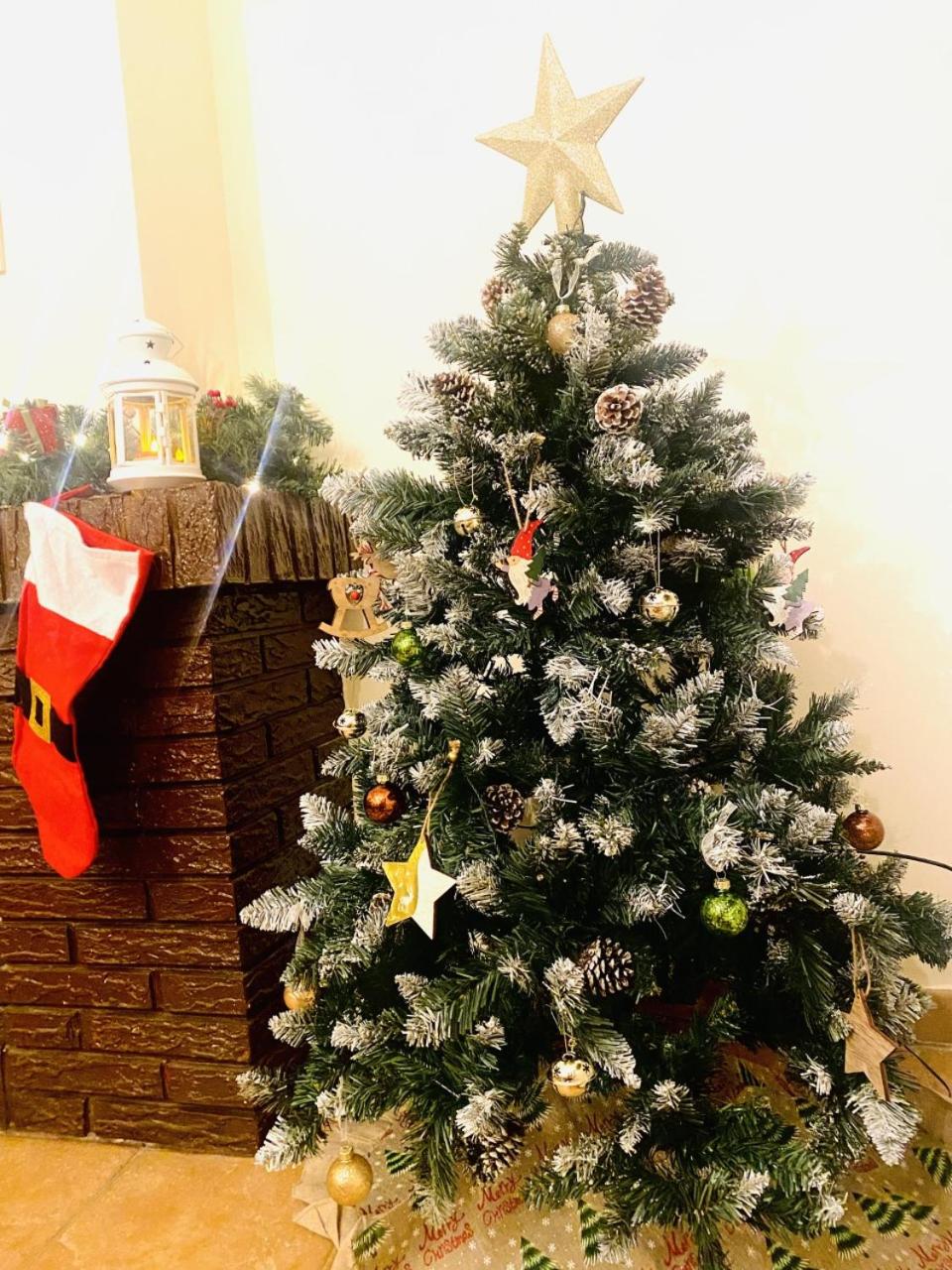 Photo 6