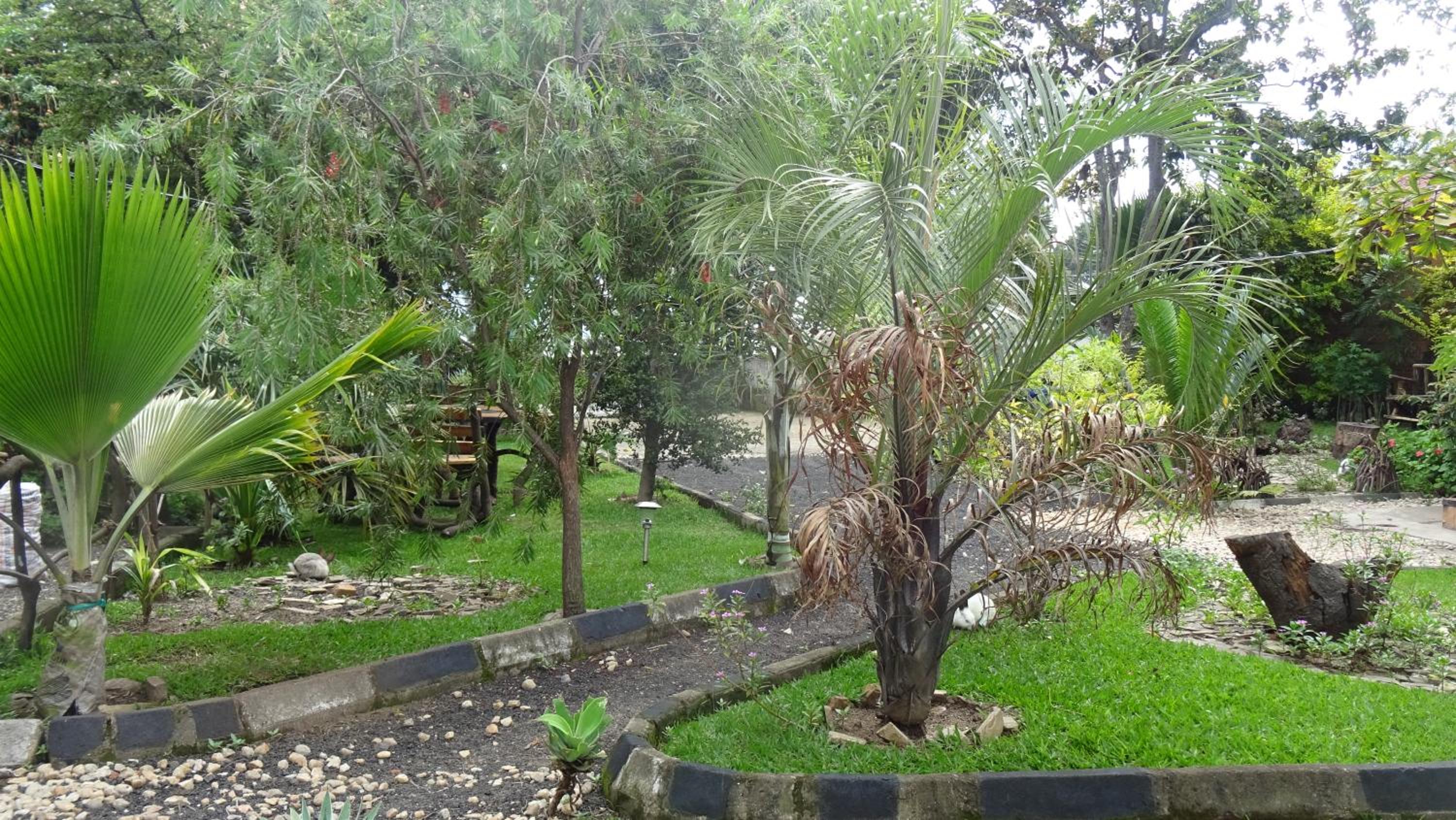 Kivu Beach Garden, photo 89