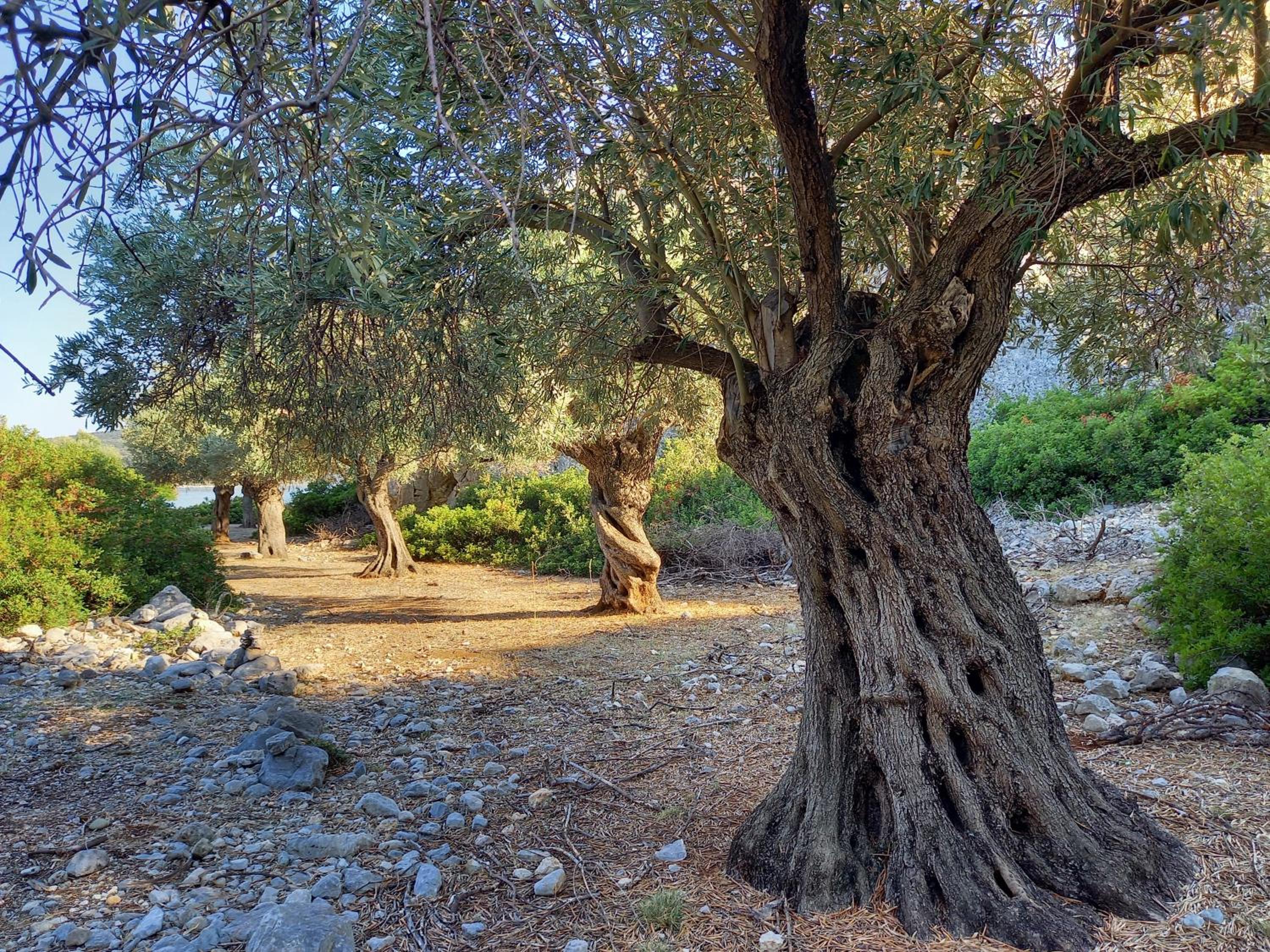 Photo 26