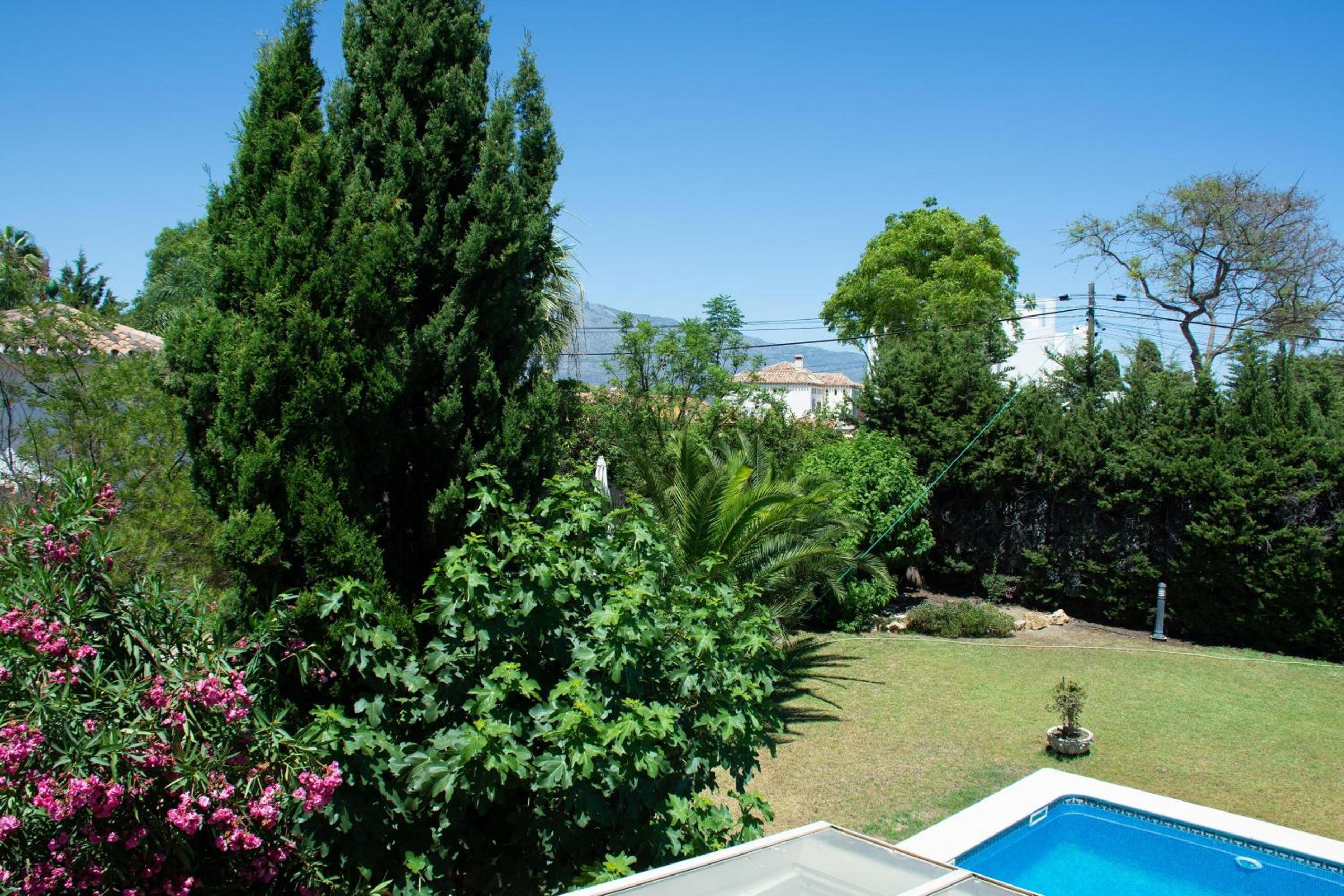 Photo 45