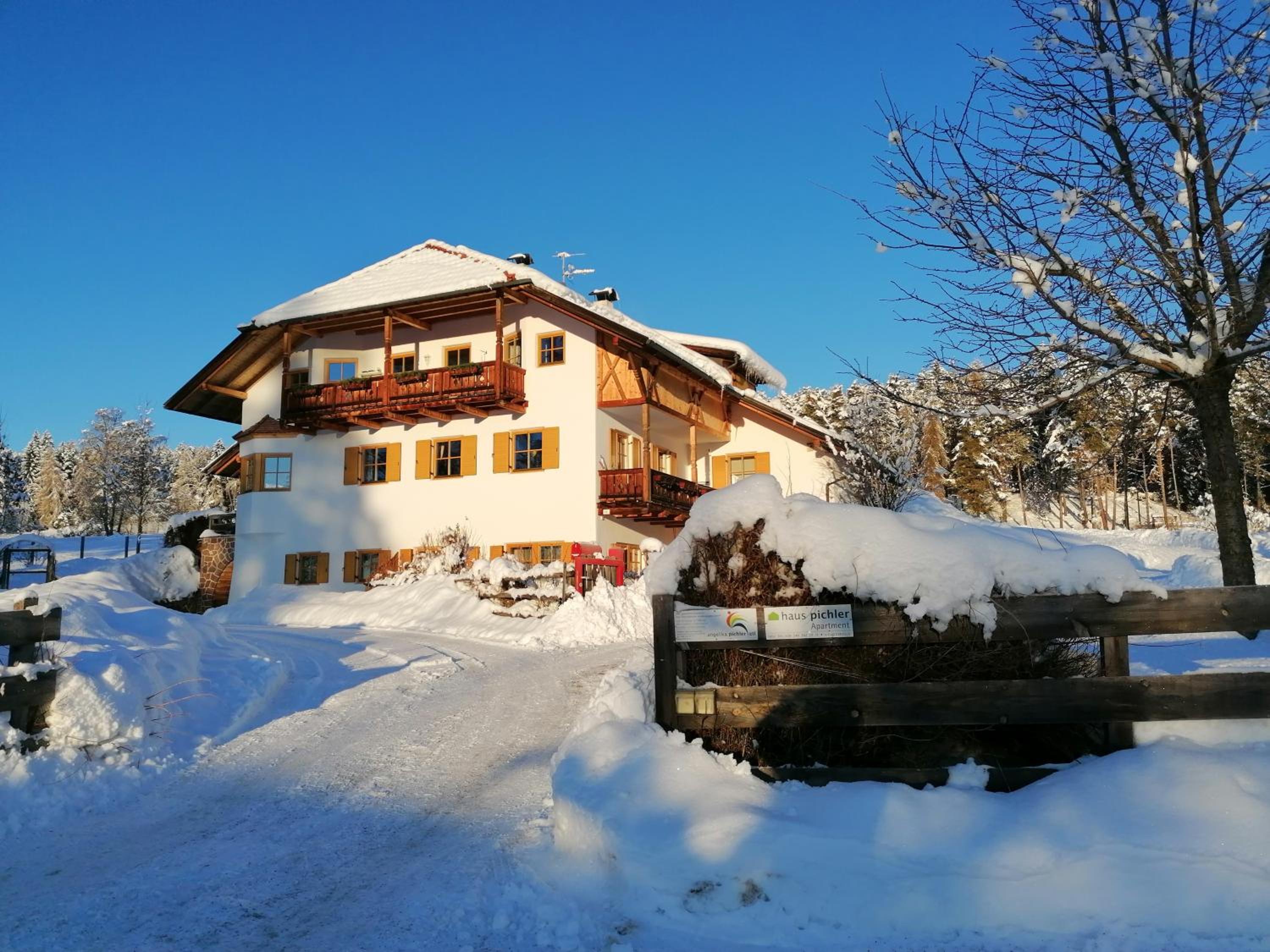 Haus Pichler Apartment view 2