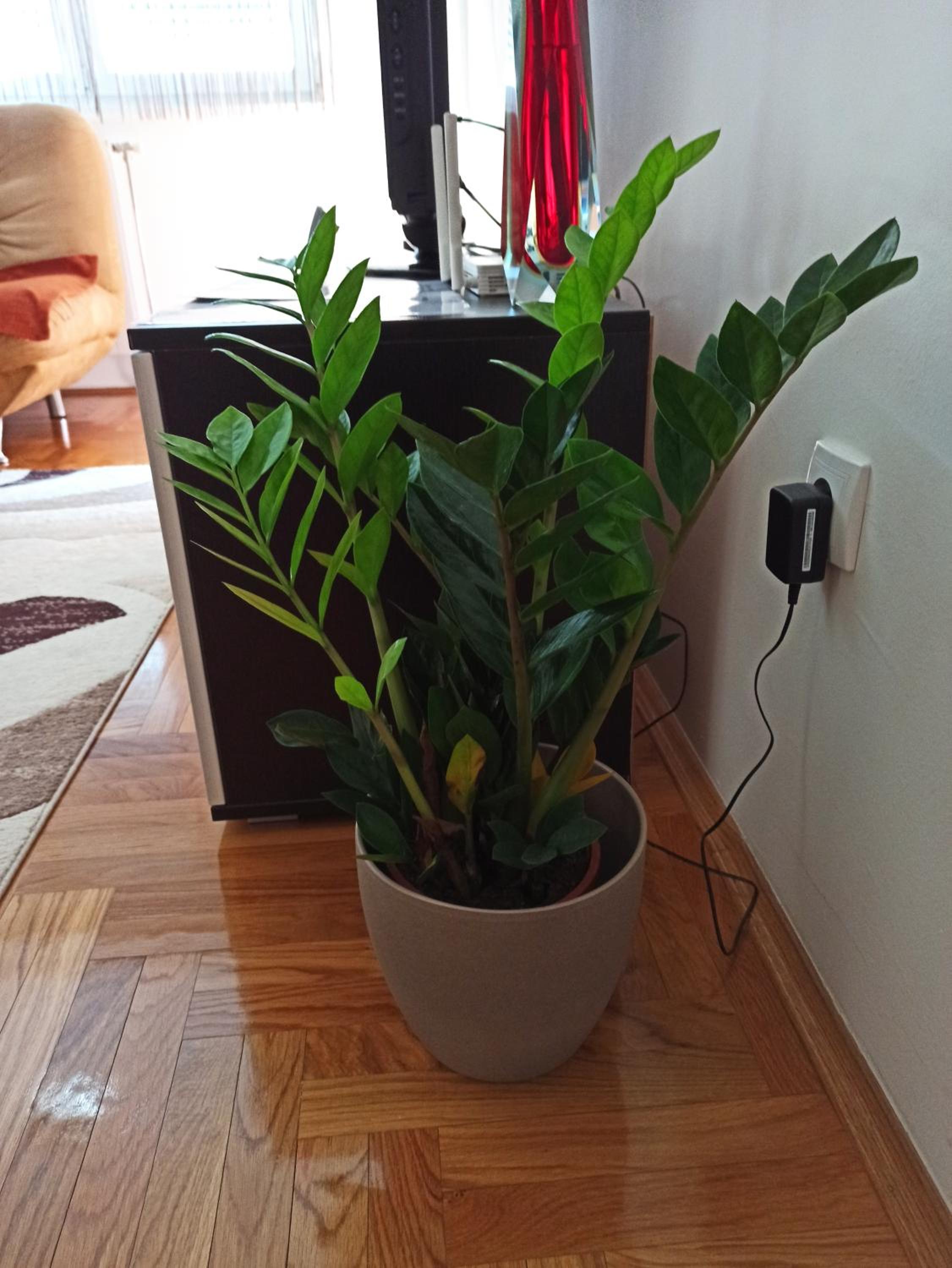 BK Apartment, Istocno Sarajevo, Lukavica