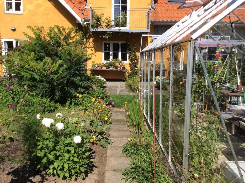 Bergliot Bed & Breakfast view 4