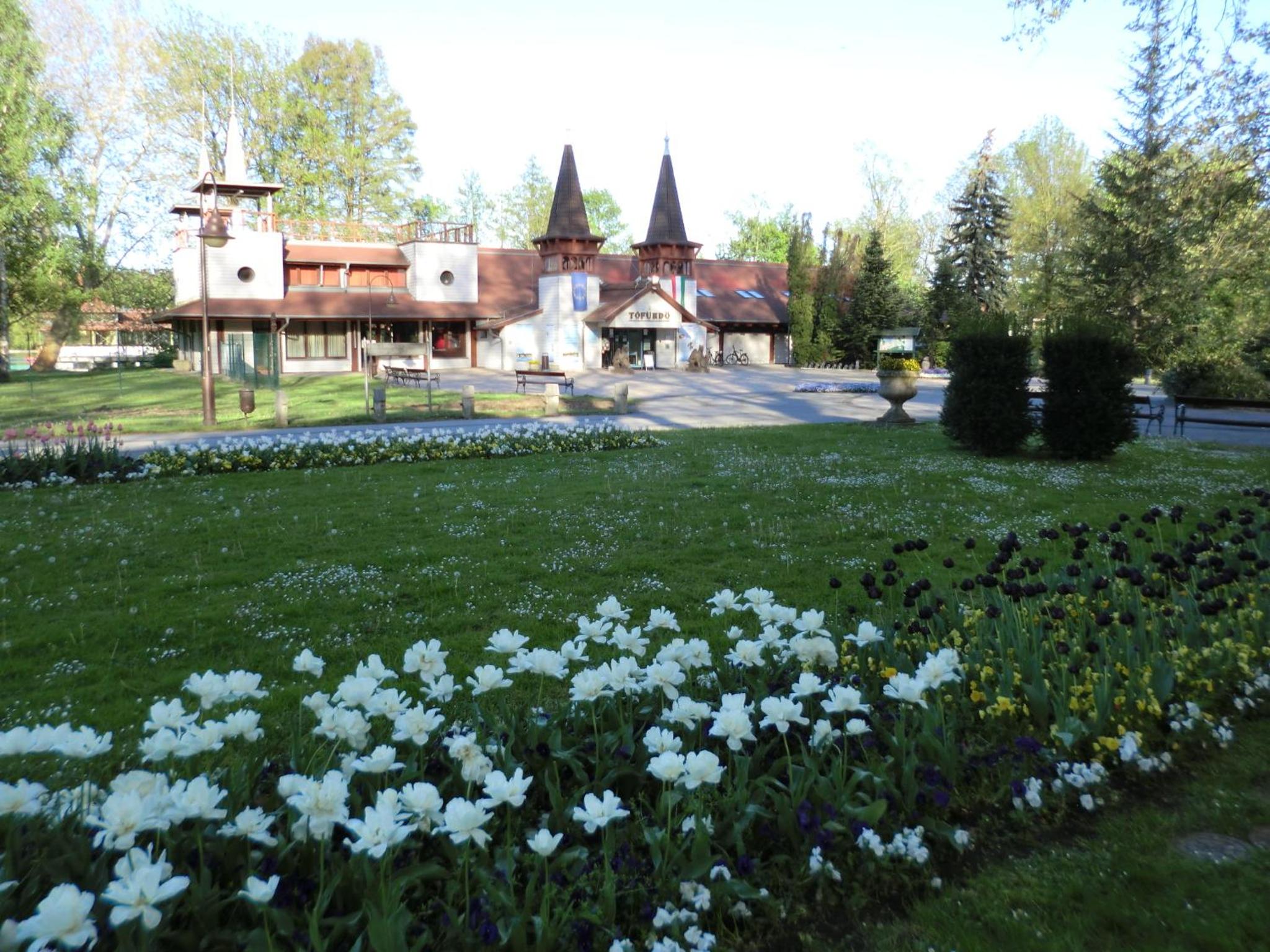 Photo 7