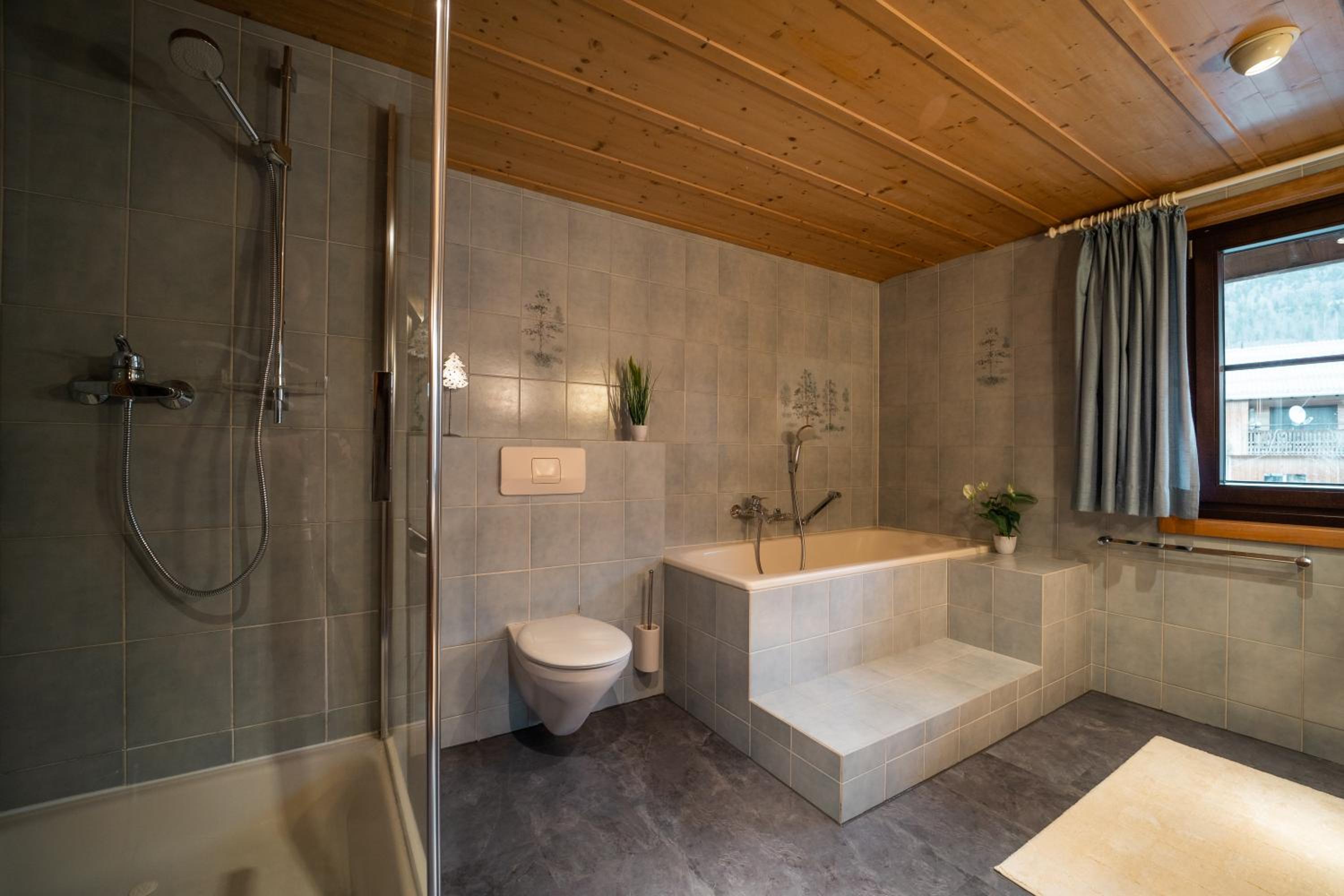 D`Alpenapartments Bezau
