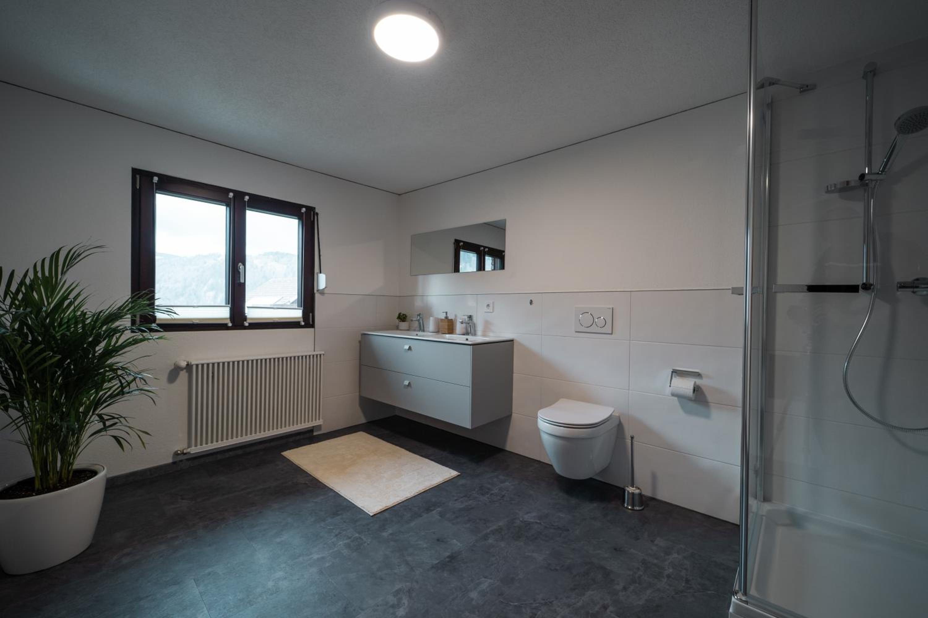 D`Alpenapartments Bezau
