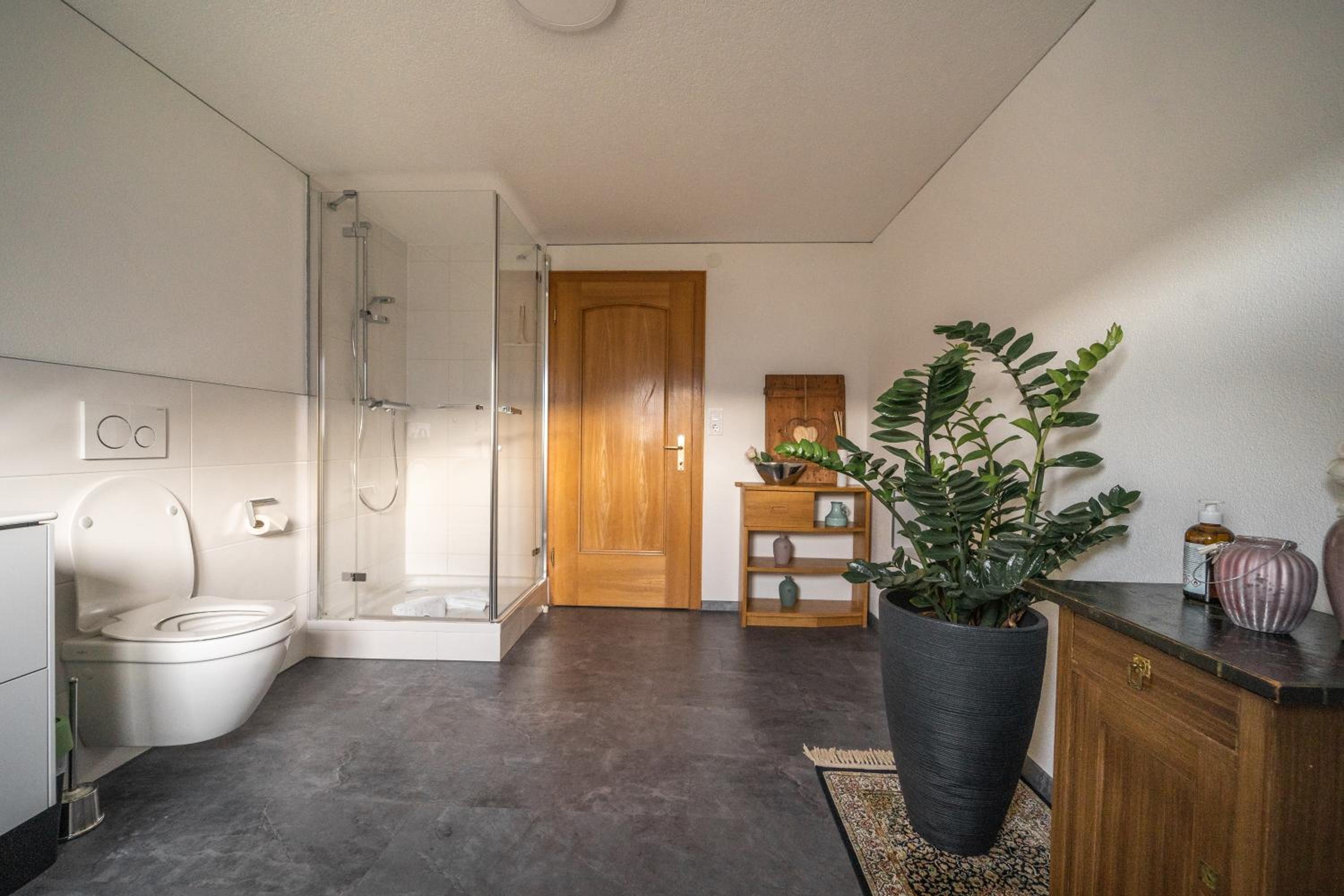 D`Alpenapartments Bezau
