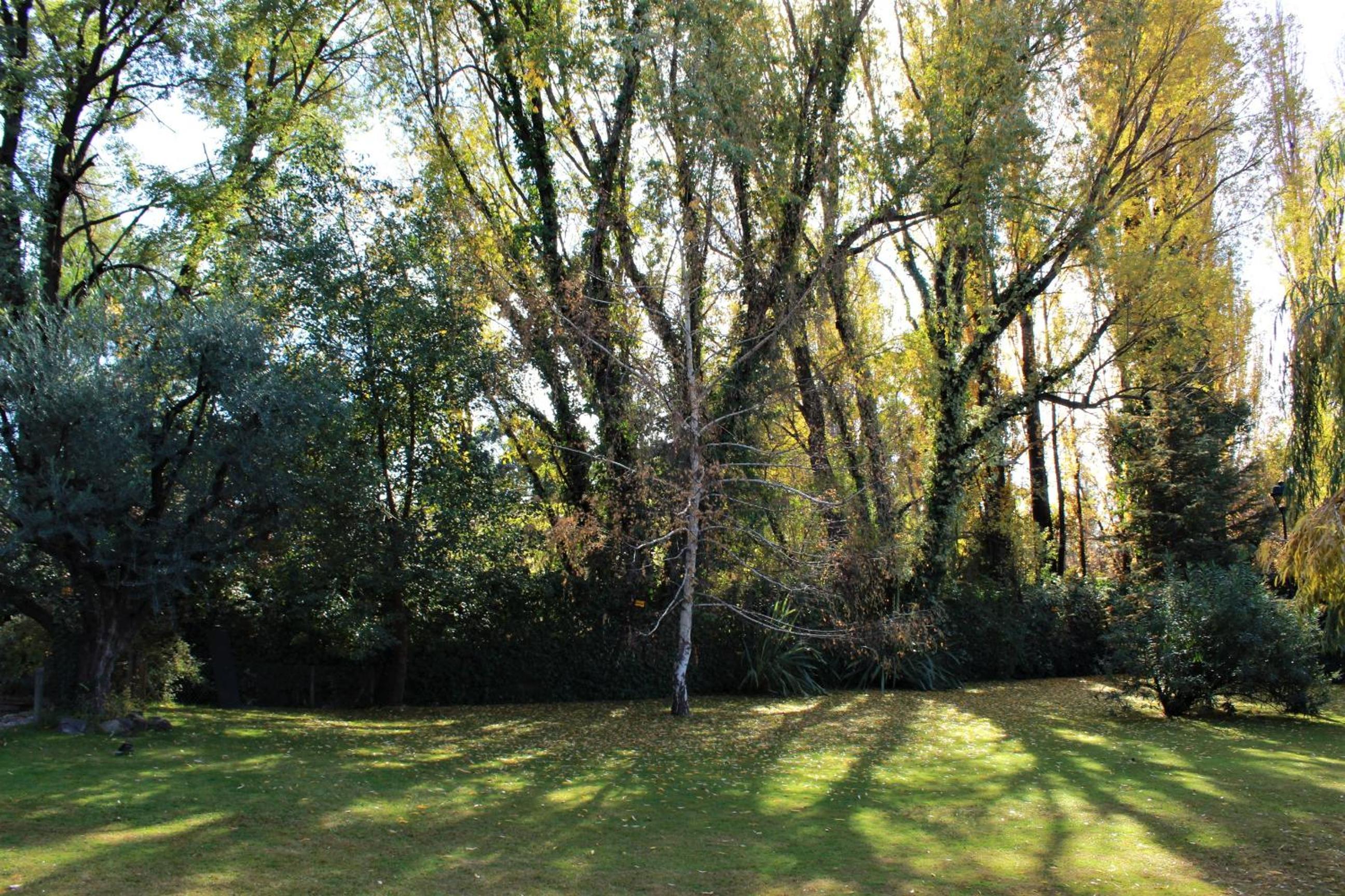 Alto Chacras Cottage