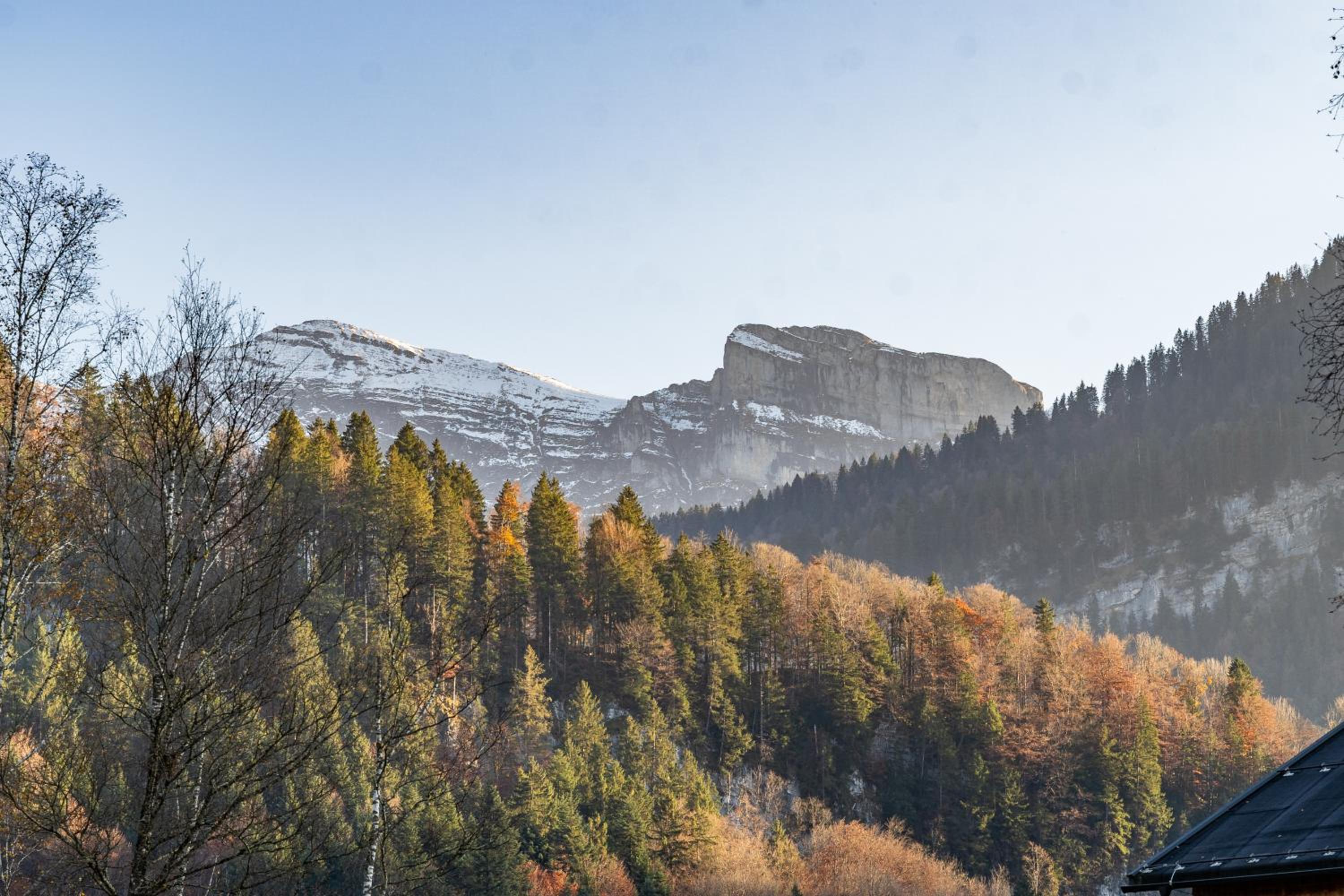 D`Alpenapartments Bezau