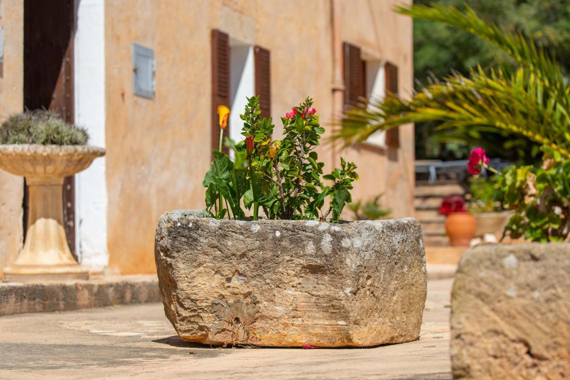 Finca Cavea