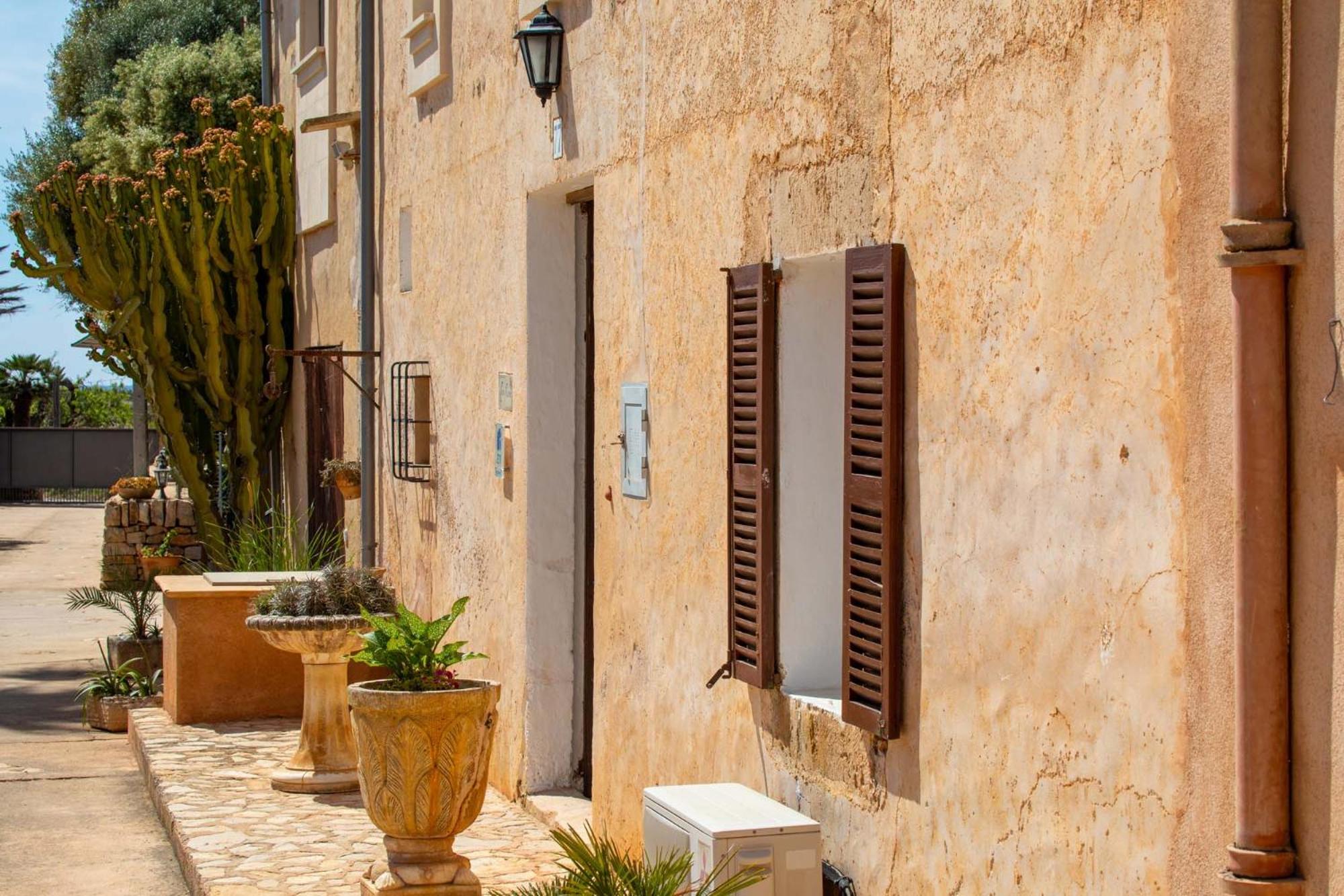 Finca Cavea