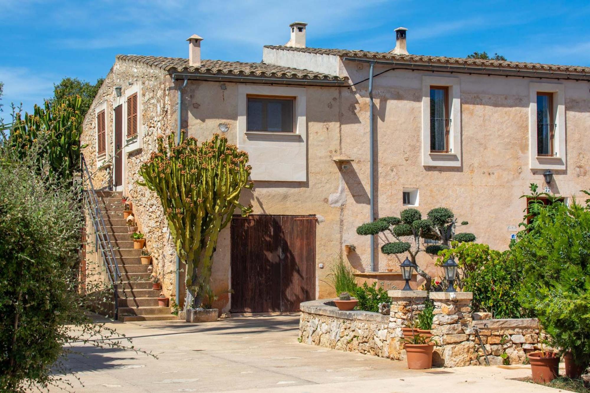 Finca Cavea