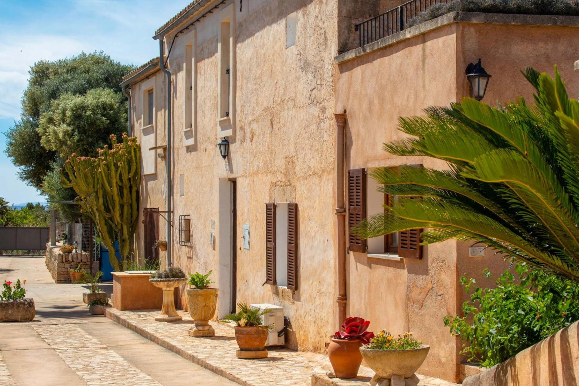 Finca Cavea