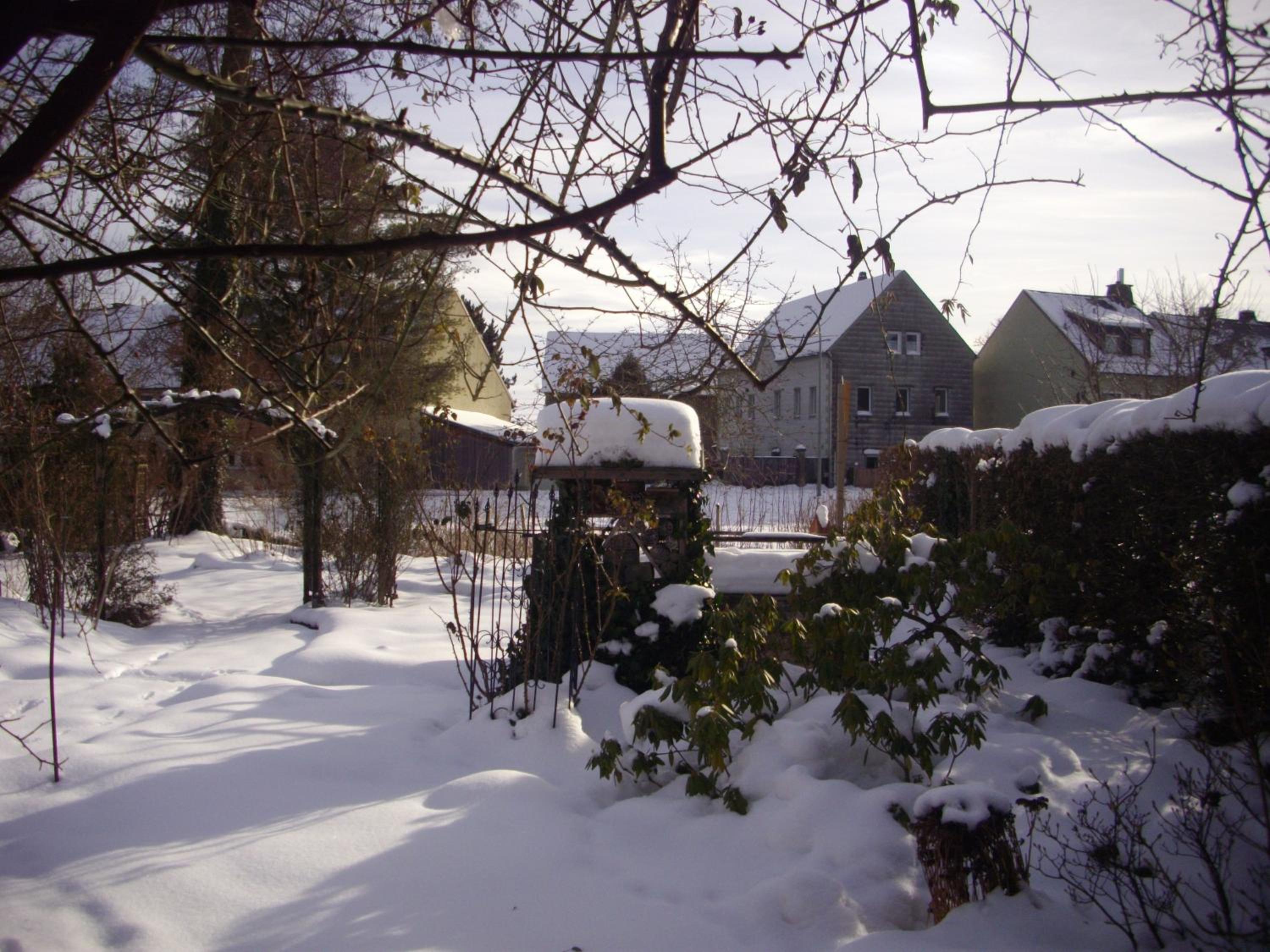 Photo 37