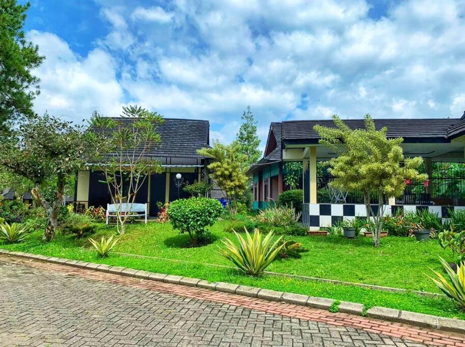 Designer Villa Osaka view 2