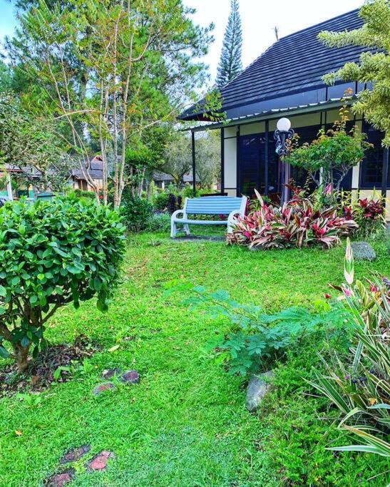Designer Villa Osaka view 5