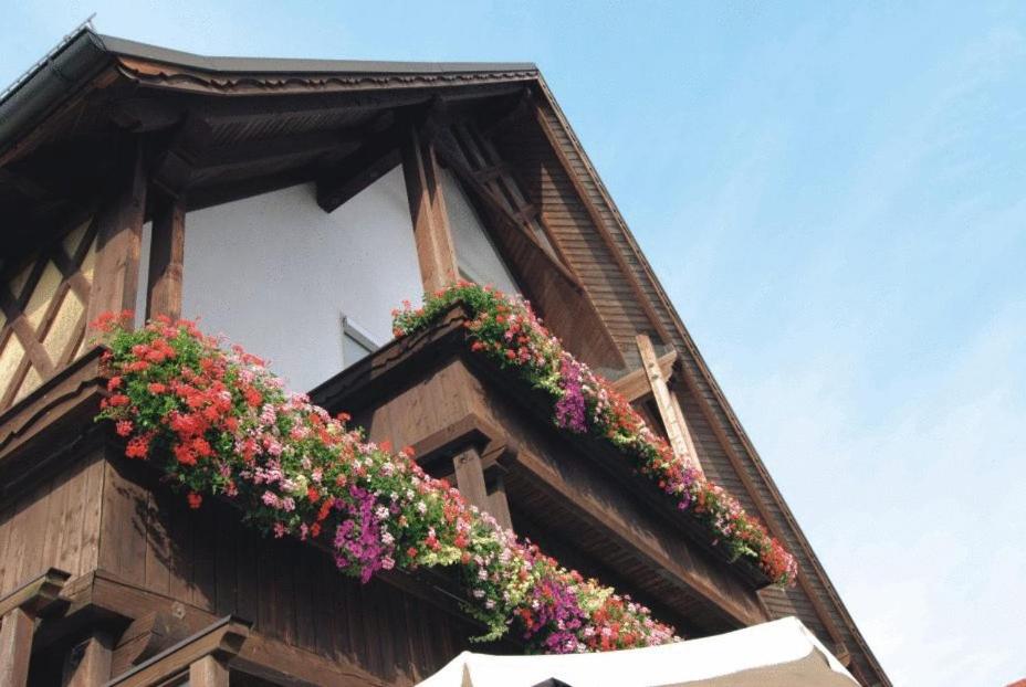 Gasthaus zur Traube, photo 15