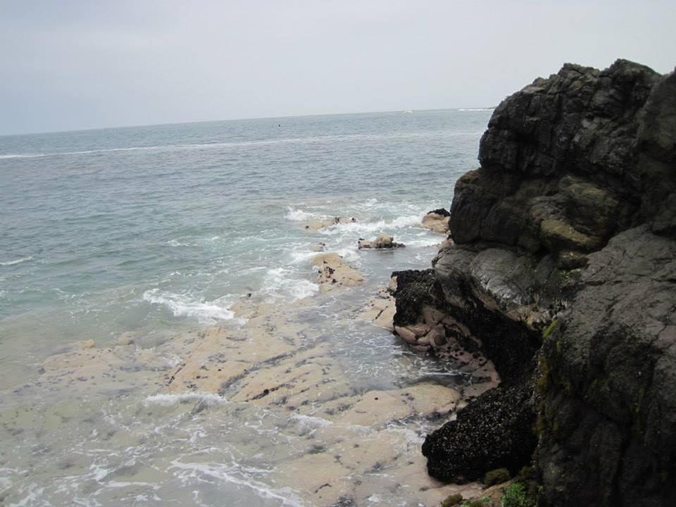 Photo 54