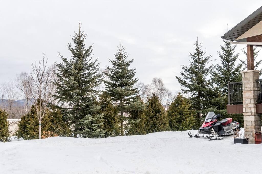 INITIAL - GRIZZLY - Mont-Sainte-Anne